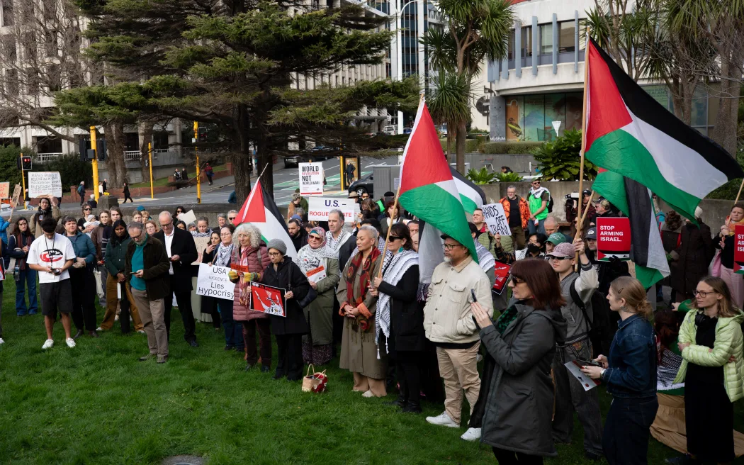 Dozens of protests over the war in Gaza and Palestine’s future have been held in New Zealand. Photo / RNZ