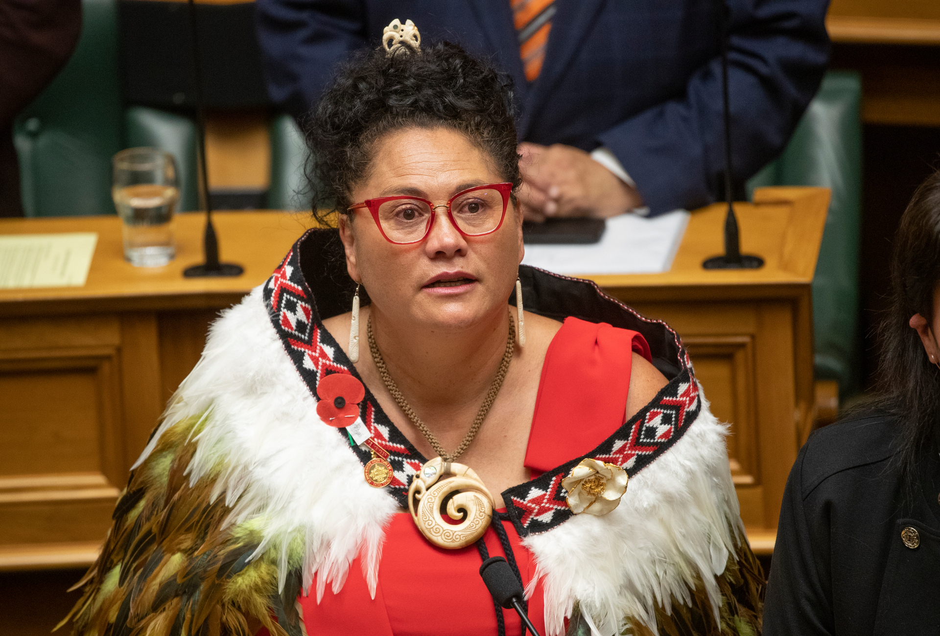 Former Labour MP Louisa Wall. Photo / Mark Mitchell