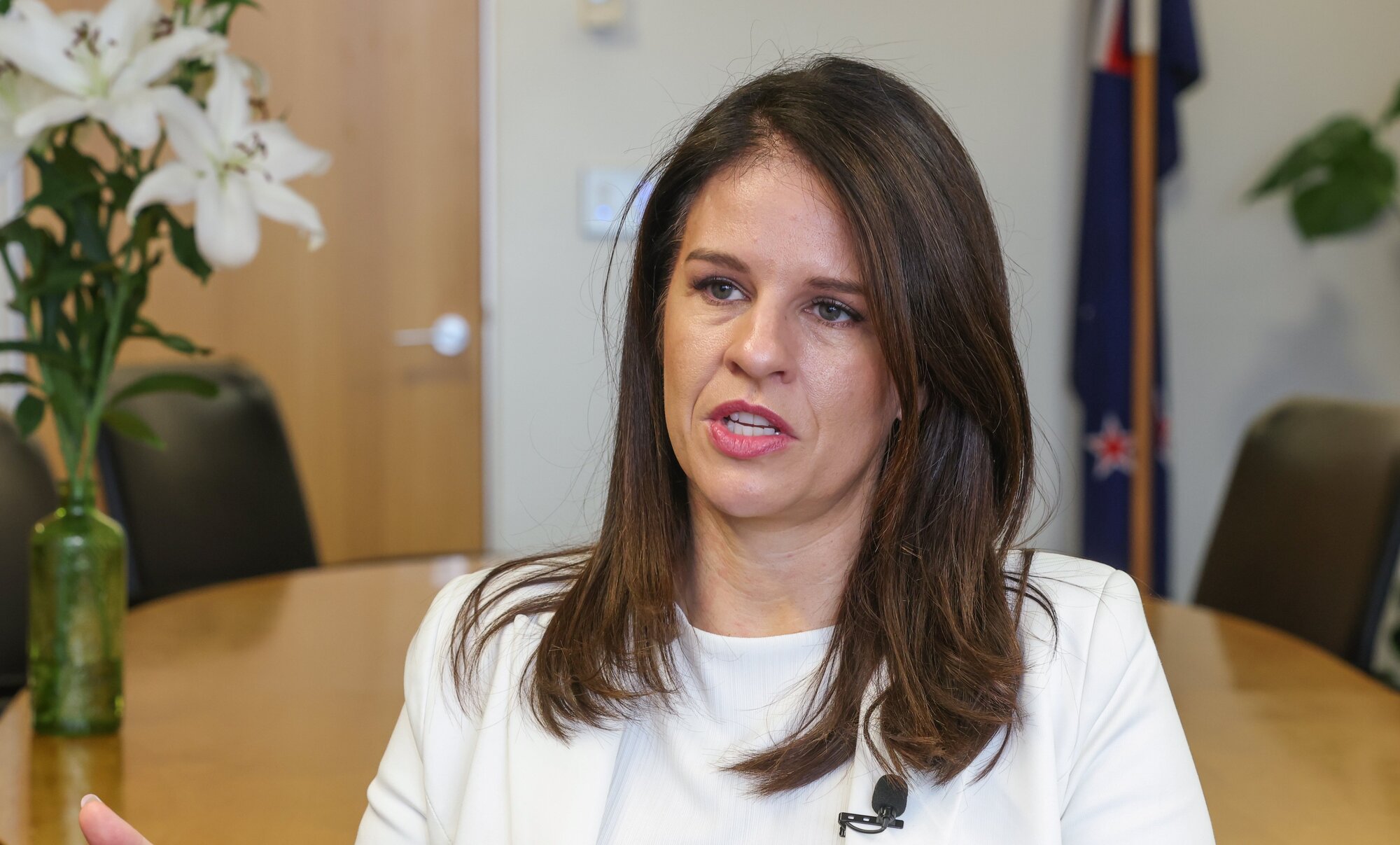Government Response to Abuse in Care Minister Erica Stanford speaks to the Herald in her office at Parliament. Photo / Mark Mitchell 