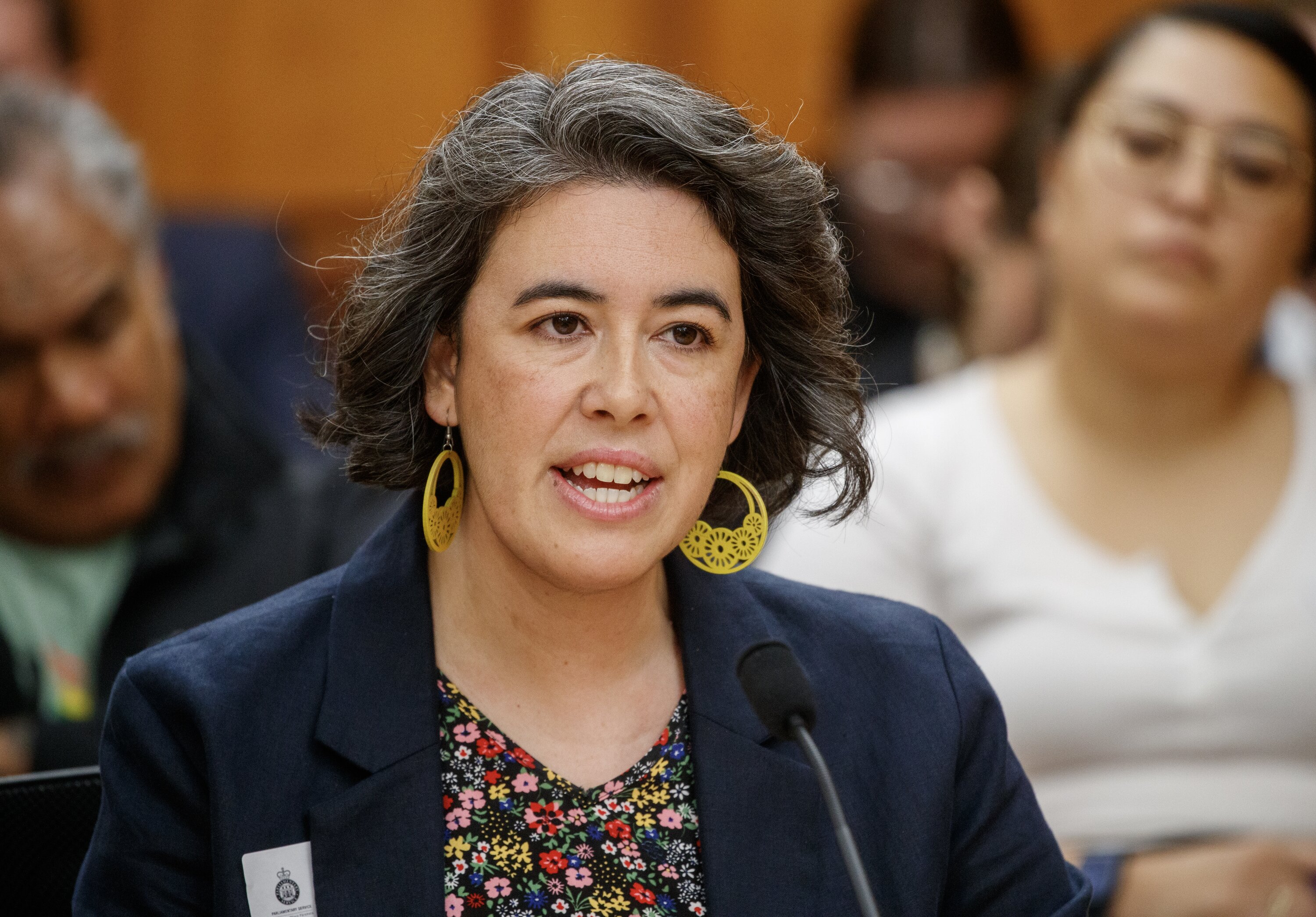 Chief Children’s Commissioner Dr Claire Achmad says reports from the pilot sound positive. Photo / Mark Mitchell