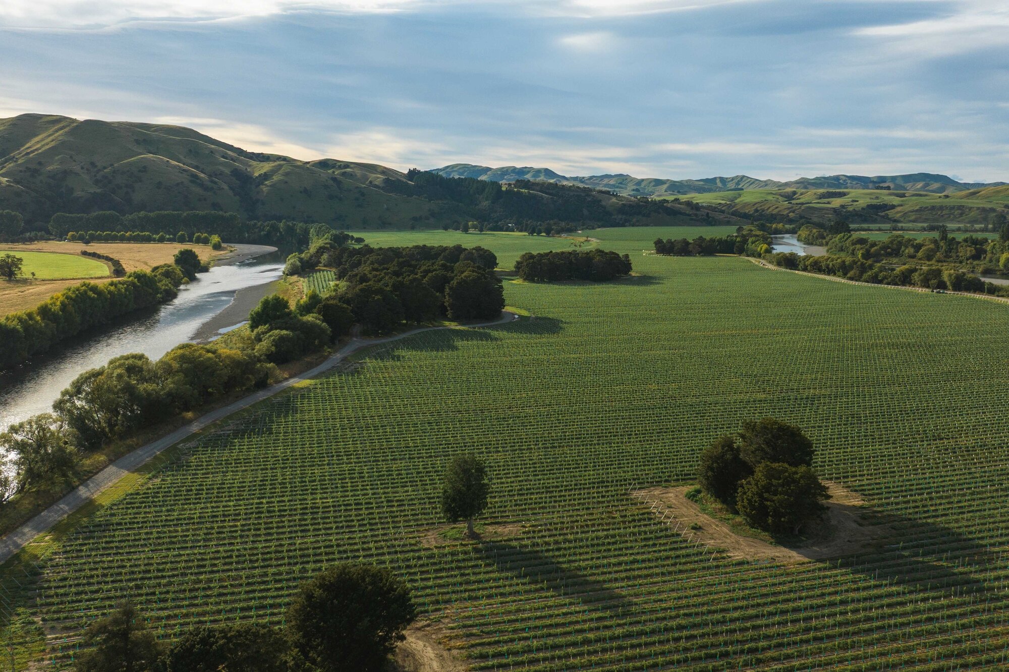 The Poulter family manages about 900ha of owned and leased vineyards across Hawke’s Bay and Martinborough.