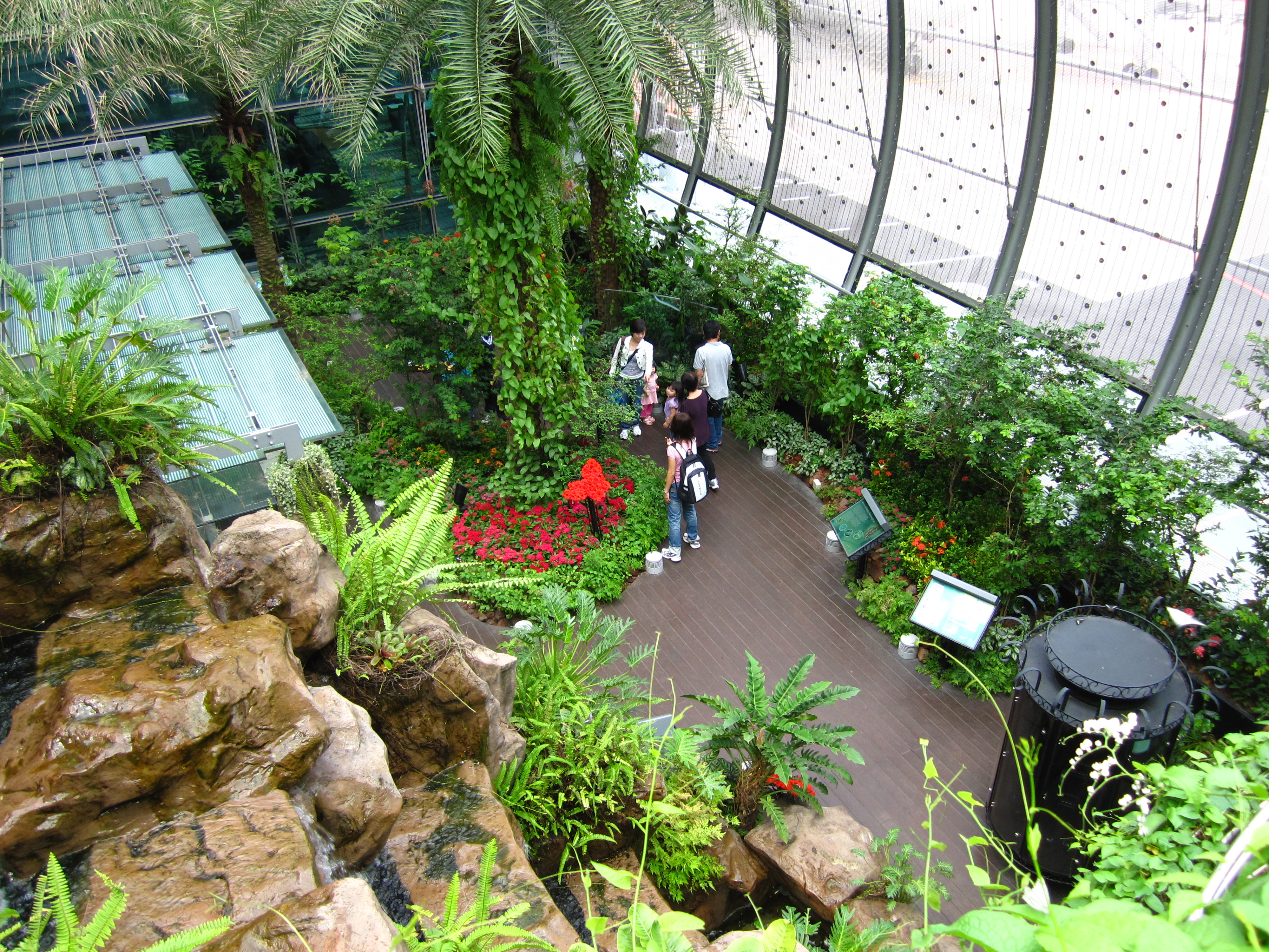 The garden is designed to mimic a warm and humid environment, replicating the butterflies' natural habitat. Visitors can access it 24/7, but after dark, the butterflies are likely resting.