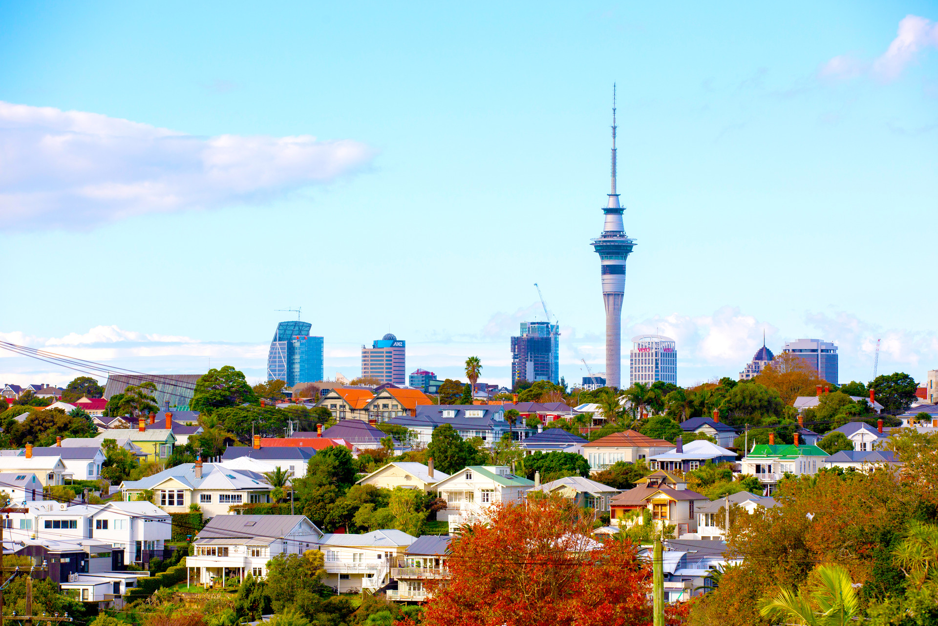 What would happen if house prices fell? Photo / Sylvie Whinray