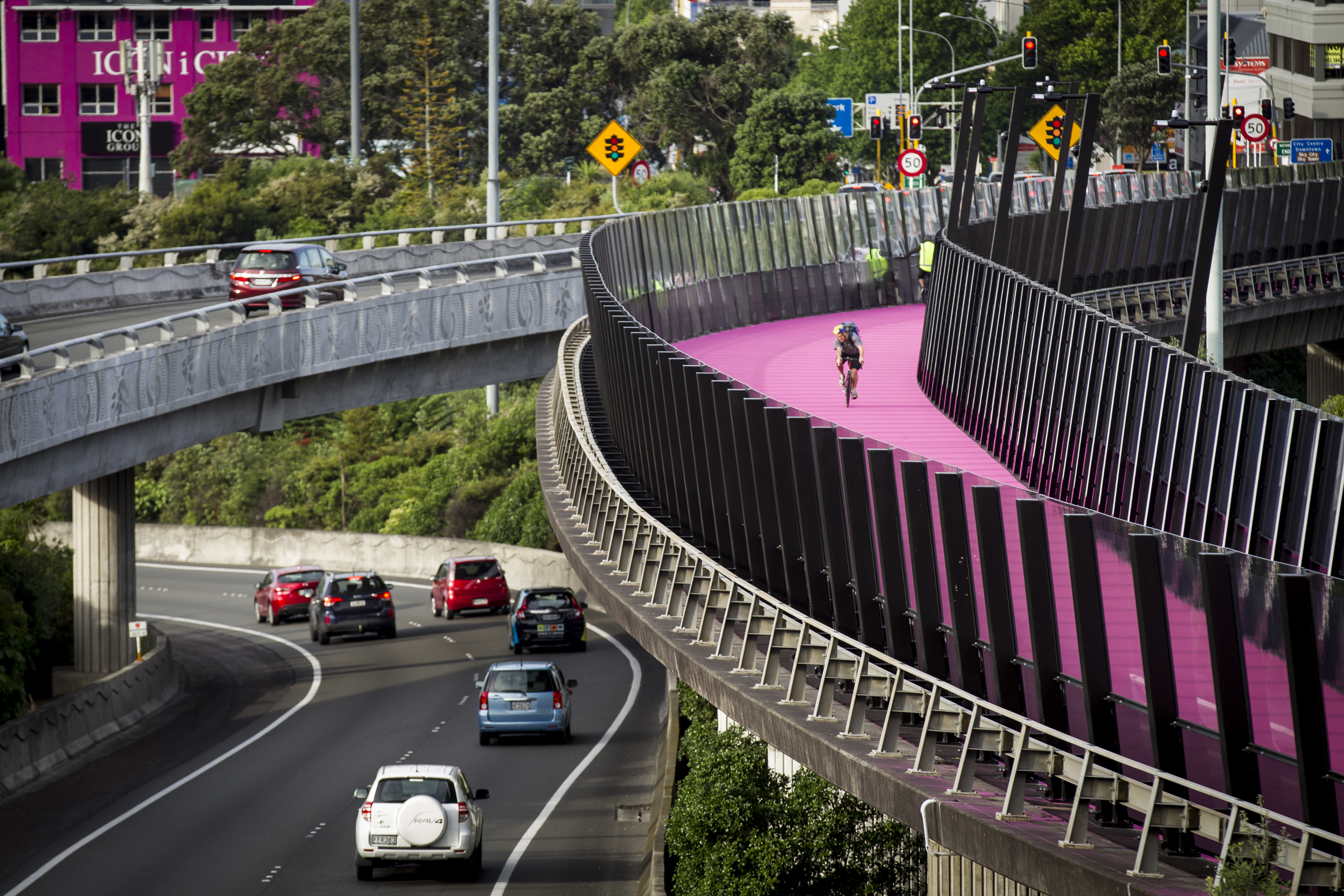 Te Ara I Whiti, Auckland's Lightpath or Pink Pathway. Photo / Dean Purcell