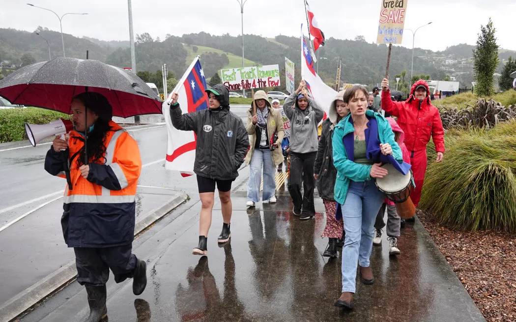 Protesters against the Waipiro Bay Marina proposal march on Western Hills Drive in Whangārei. Photo / RNZ, Peter de Graaf