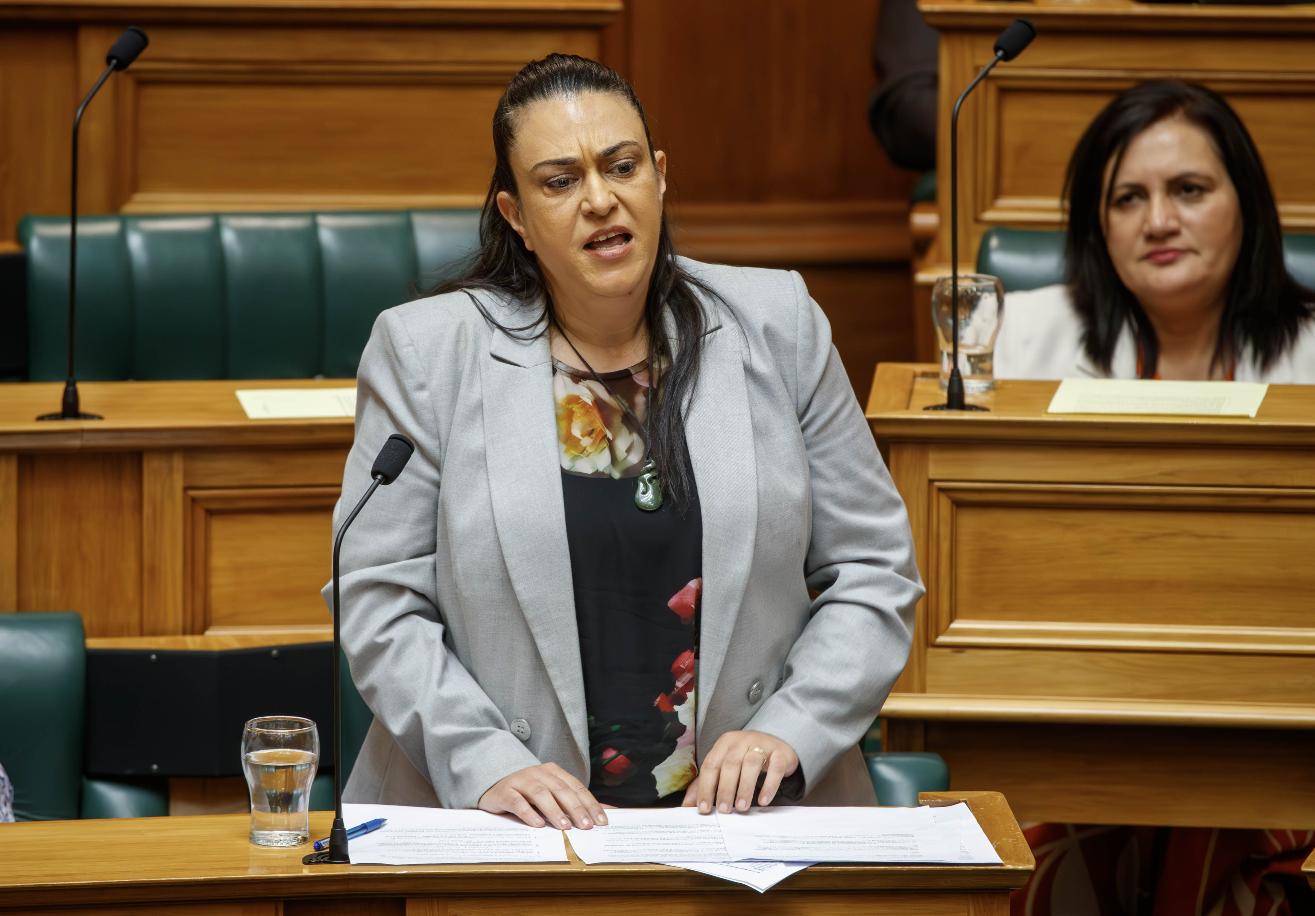 Children's Minister Karen Chhour wants to be briefed on the pilot's finer details in the coming days. Photo / Mark Mitchell