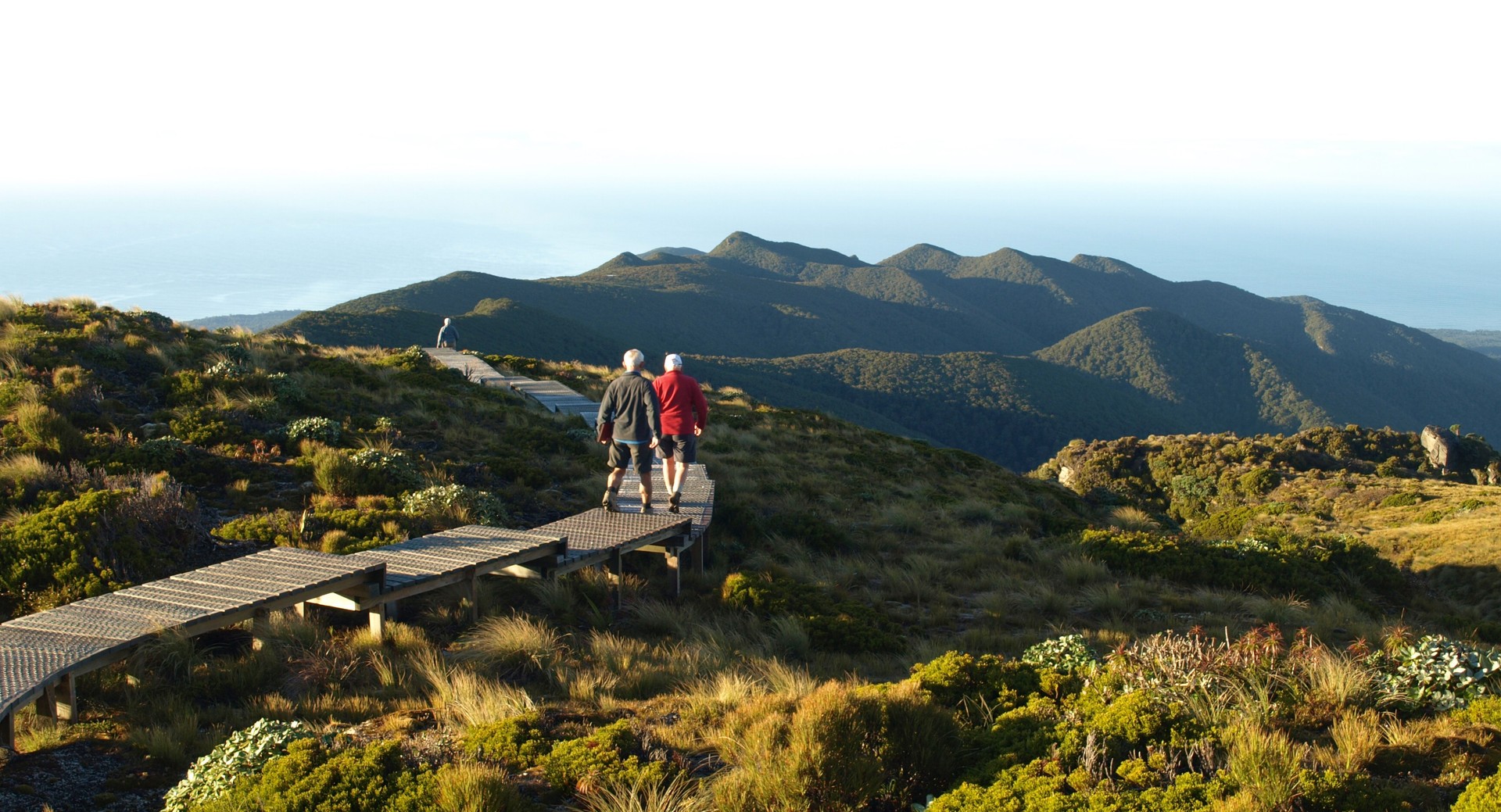 Hump Ridge Track: The Southland trail has traversed long delays on the way to becoming a new Great Walk. Photo / Supplied