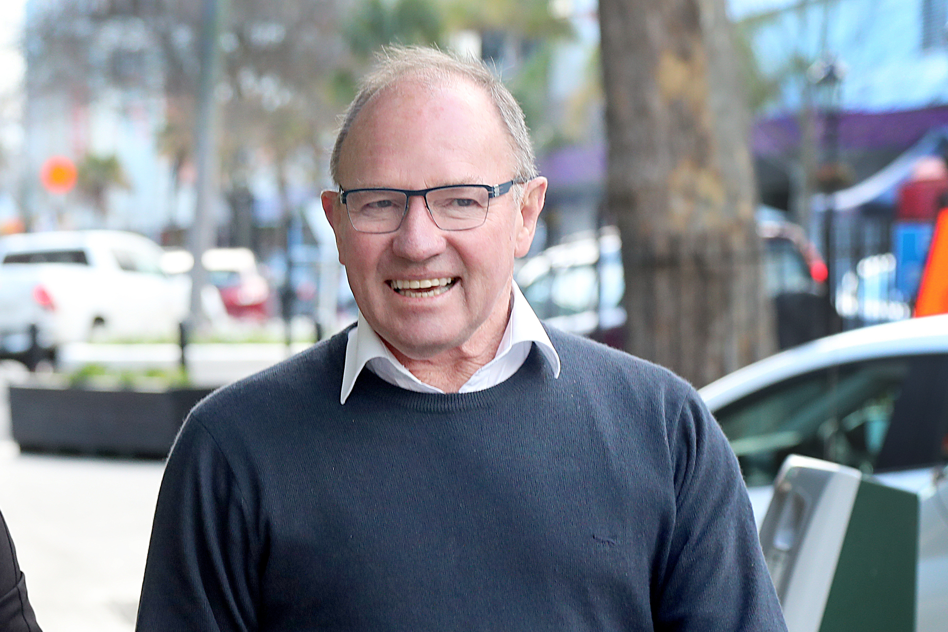 National Party racing spokesman Ian McKelvie believes GRNZ have not done enough to prevent greyhound deaths. Photo / File