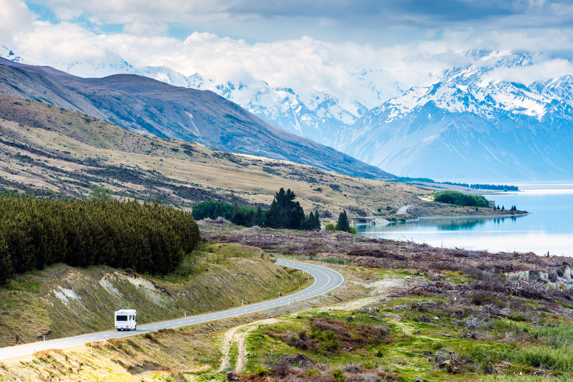 Go Nz Top Tips For Campervan Holidays With Your Dog Nz Herald