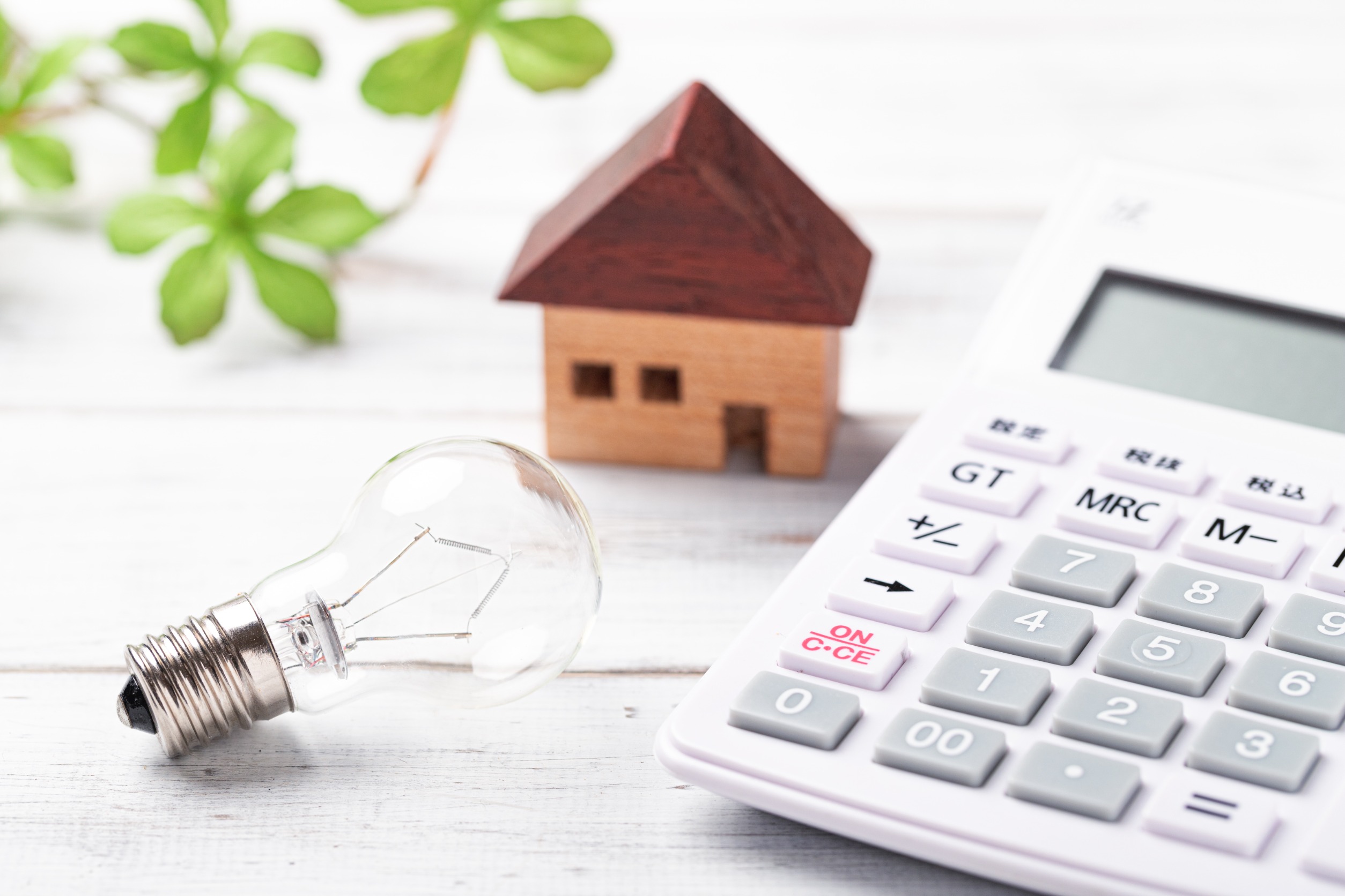 Rising power bills are prompting calls for reform, even as consumer behavior plays a major role in costs.