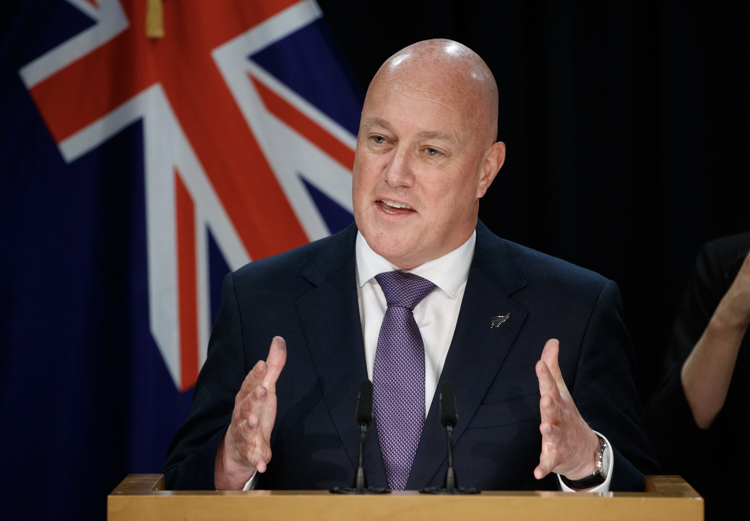 Prime Minister Christopher Luxon. Photo / Mark Mitchell