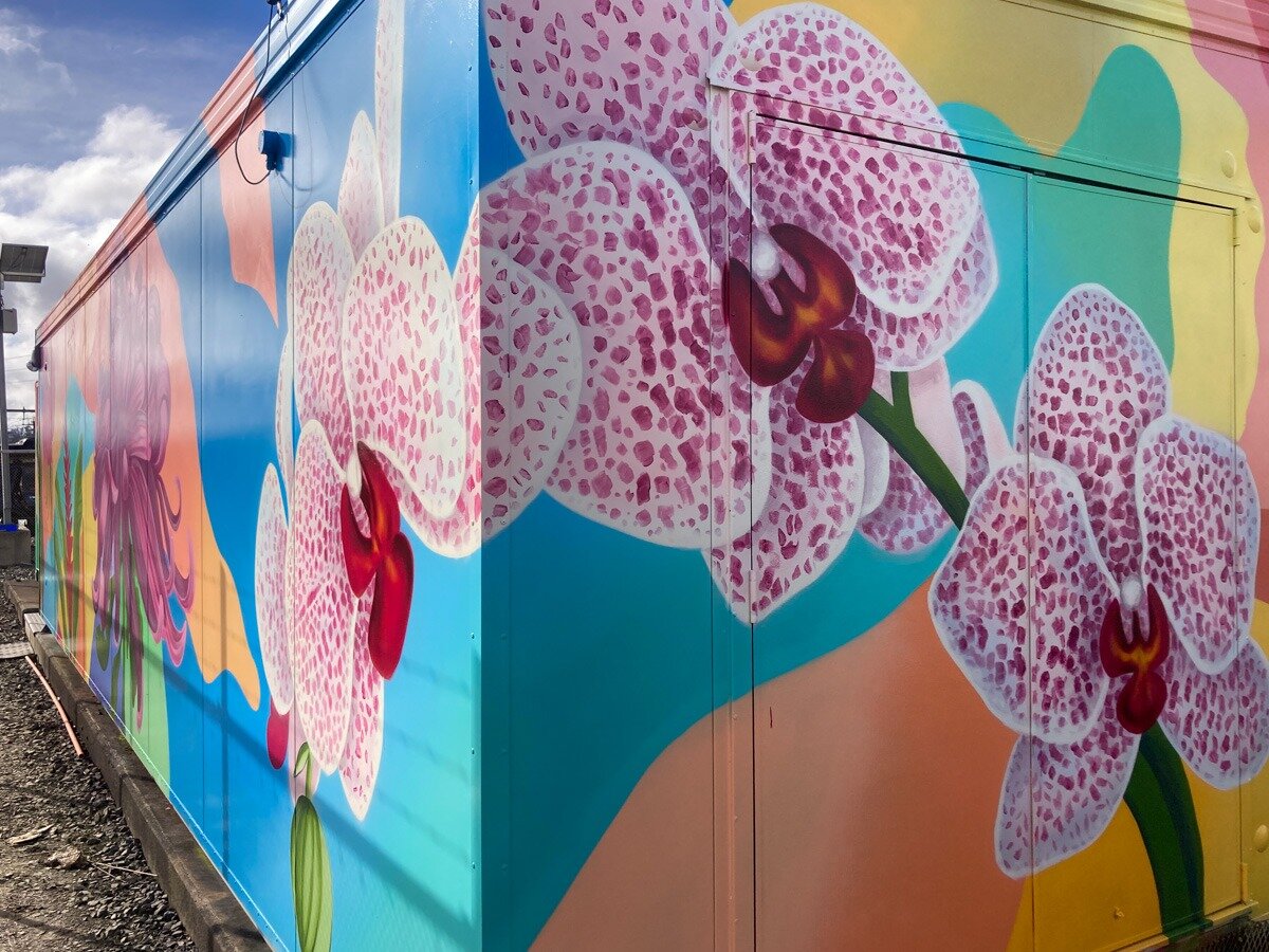 New art by Ross Liew and Margarita Vovna on the Auckland rail network. Photo / KiwiRail