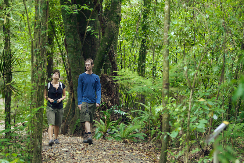 A social impact survey confirmed that spending time at Sanctuary Mountain greatly benefits people's sense of wellbeing. Photo / Hamilton and Waikato Tourism