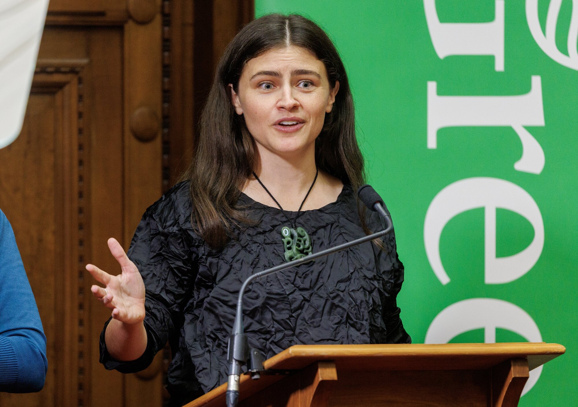 Greens co-leader Chlöe Swarbrick says there is much more the Government can do. Photo / Mark Mitchell 