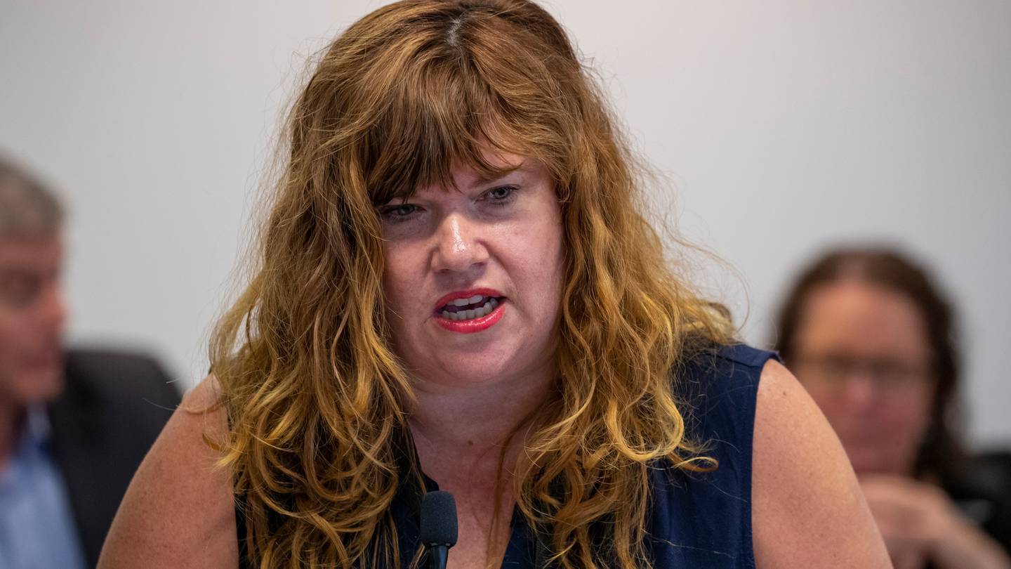 Wellington City councillor Rebecca Matthews. Photo / Mark Mitchell