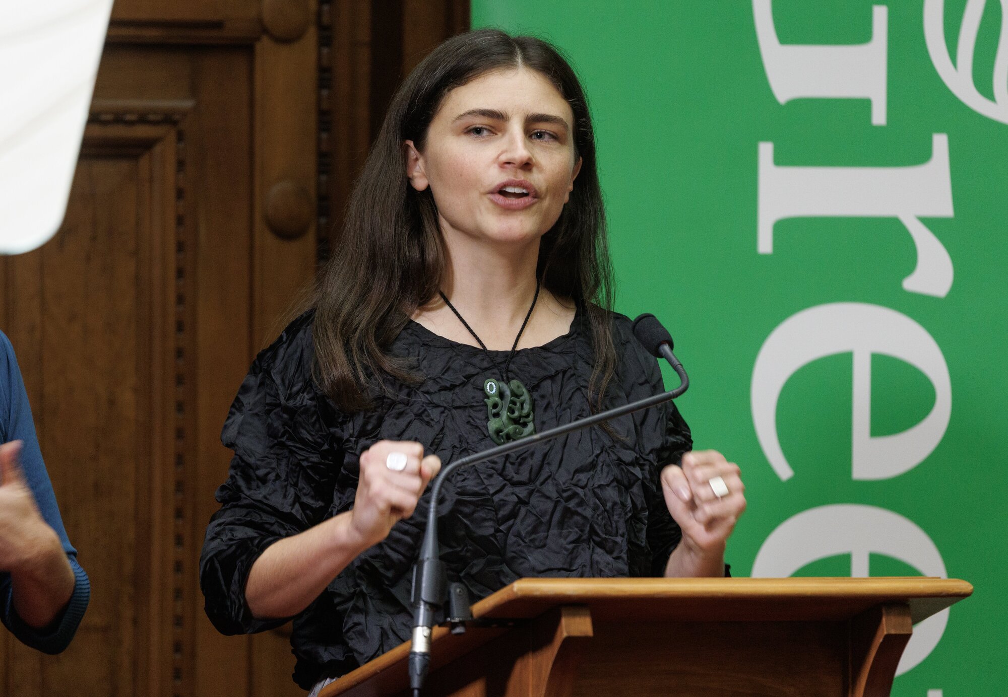Greens co-leader Chlöe Swarbrick. Photo / Mark Mitchell