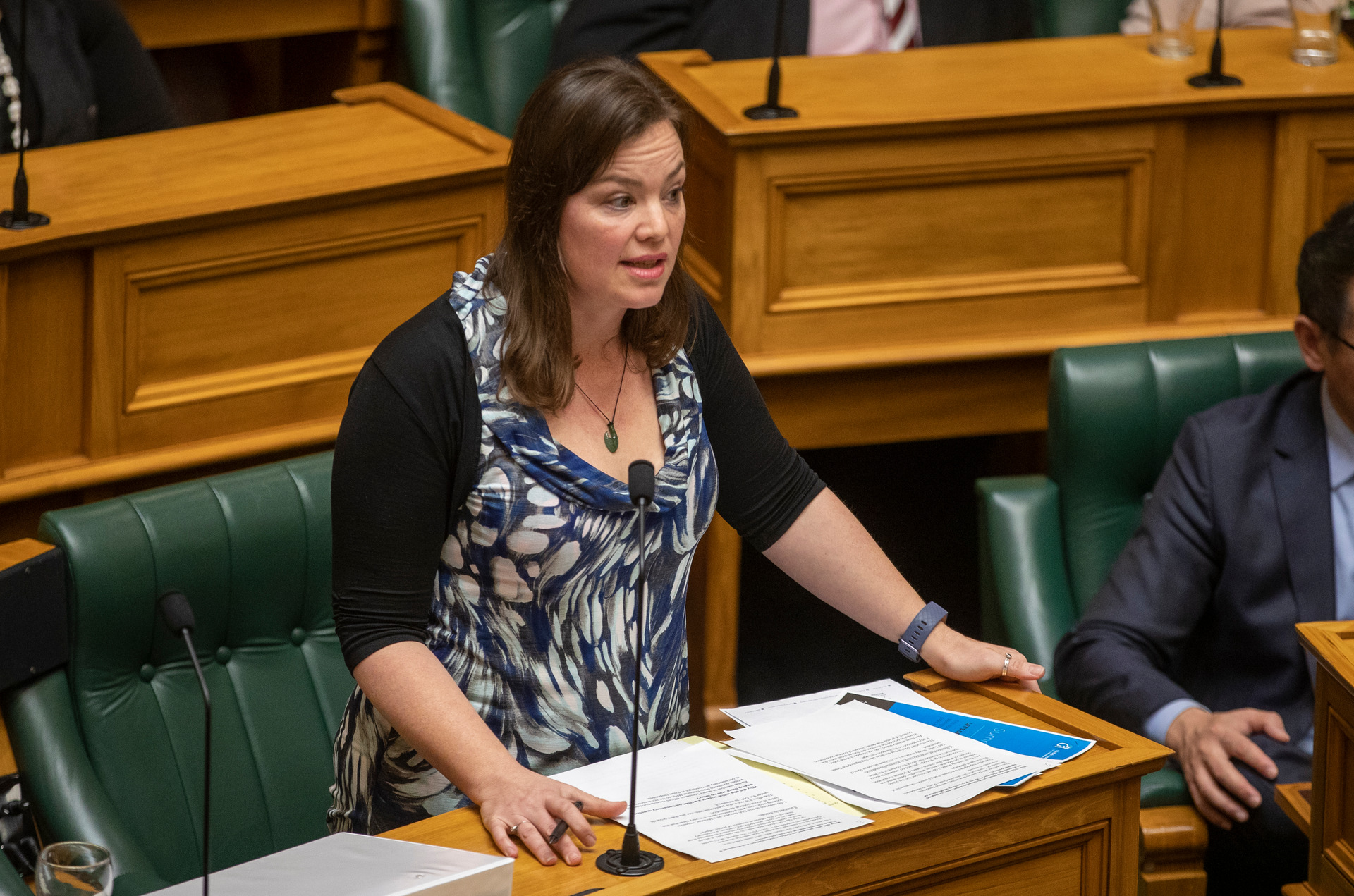 Green Party transport spokeswoman Julie Anne Genter says the Government’s changes over speed limits are unpopular with councils.
