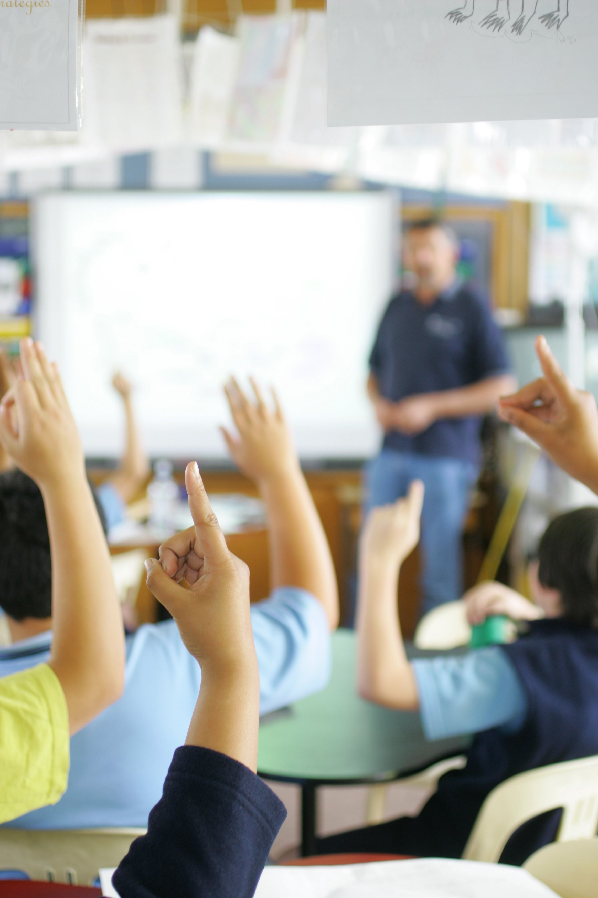 Numbers of pakeha children attending low deciles schools has halved in just 10 years. Photo / file