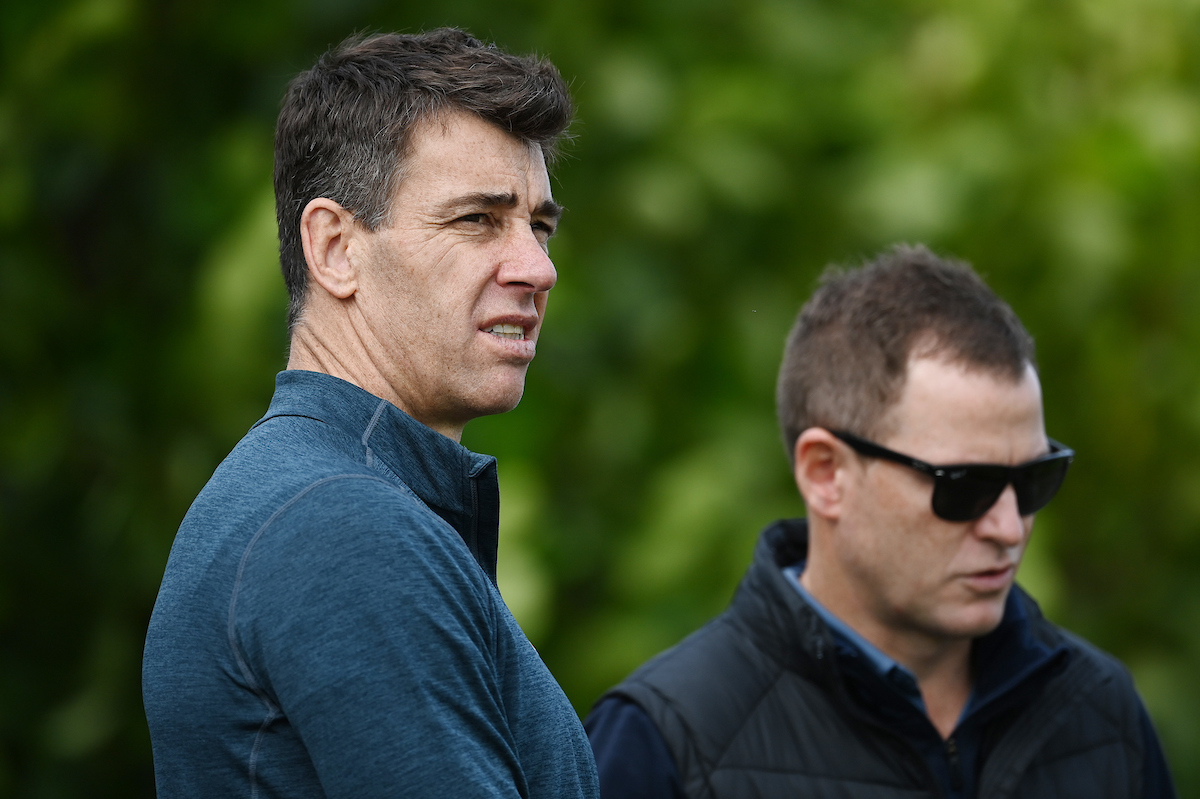 NZRPA CEO Rob Nichol. Photo / Photosport