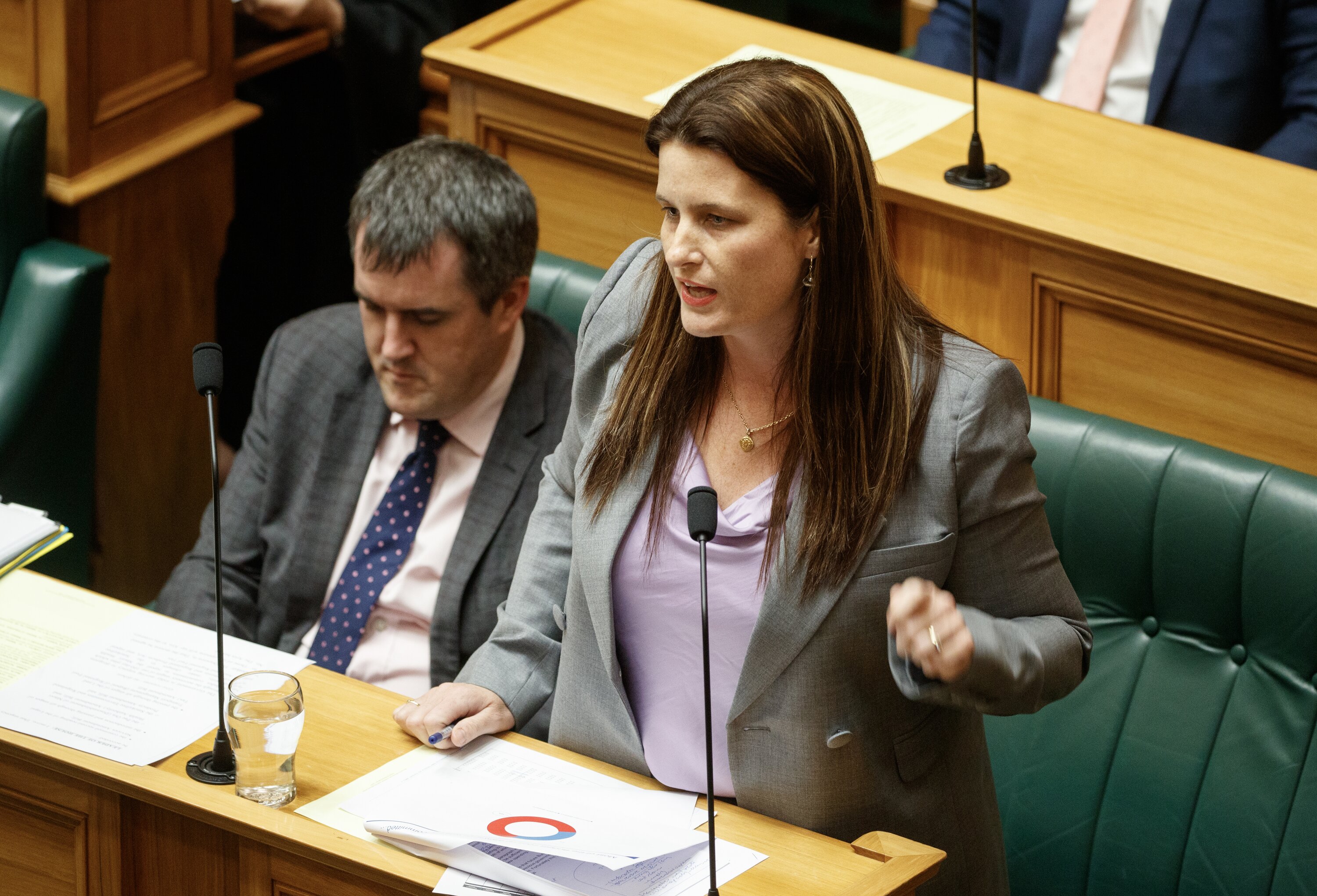 Finance Minister Nicola Willis said health and education would continue to have their budgets increased. Photo / Mark Mitchell.