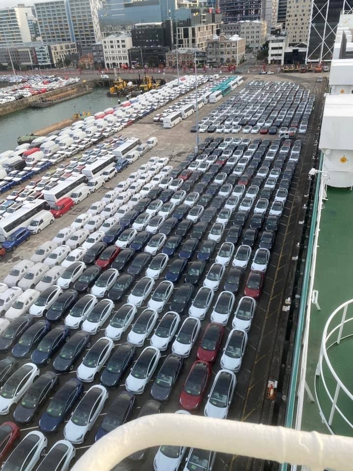 A battery of Teslas: Ports of Auckland captured this image of incoming Model 3s in November last year. Photo / @AKLPort