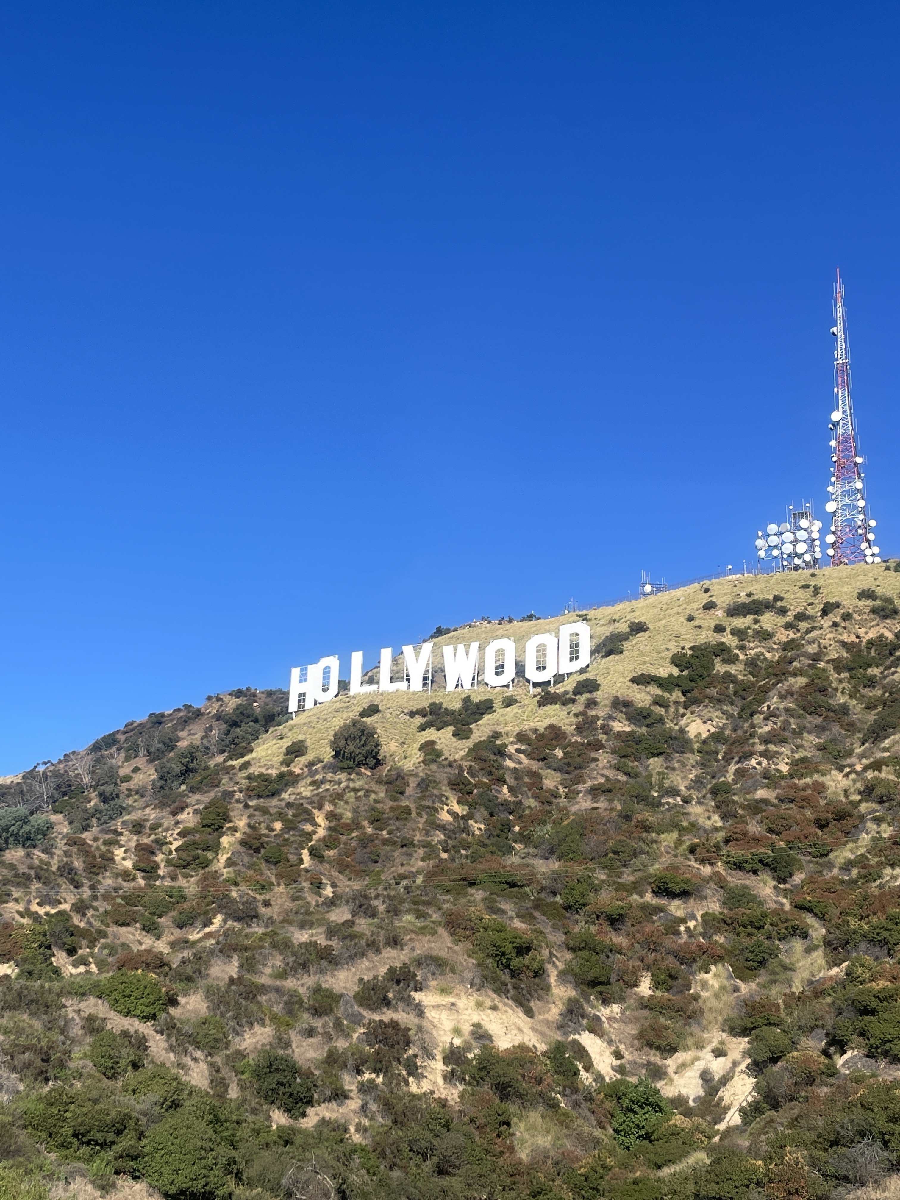 The famous Hollywood sign turns 100 this year. Photo / Katie Harris