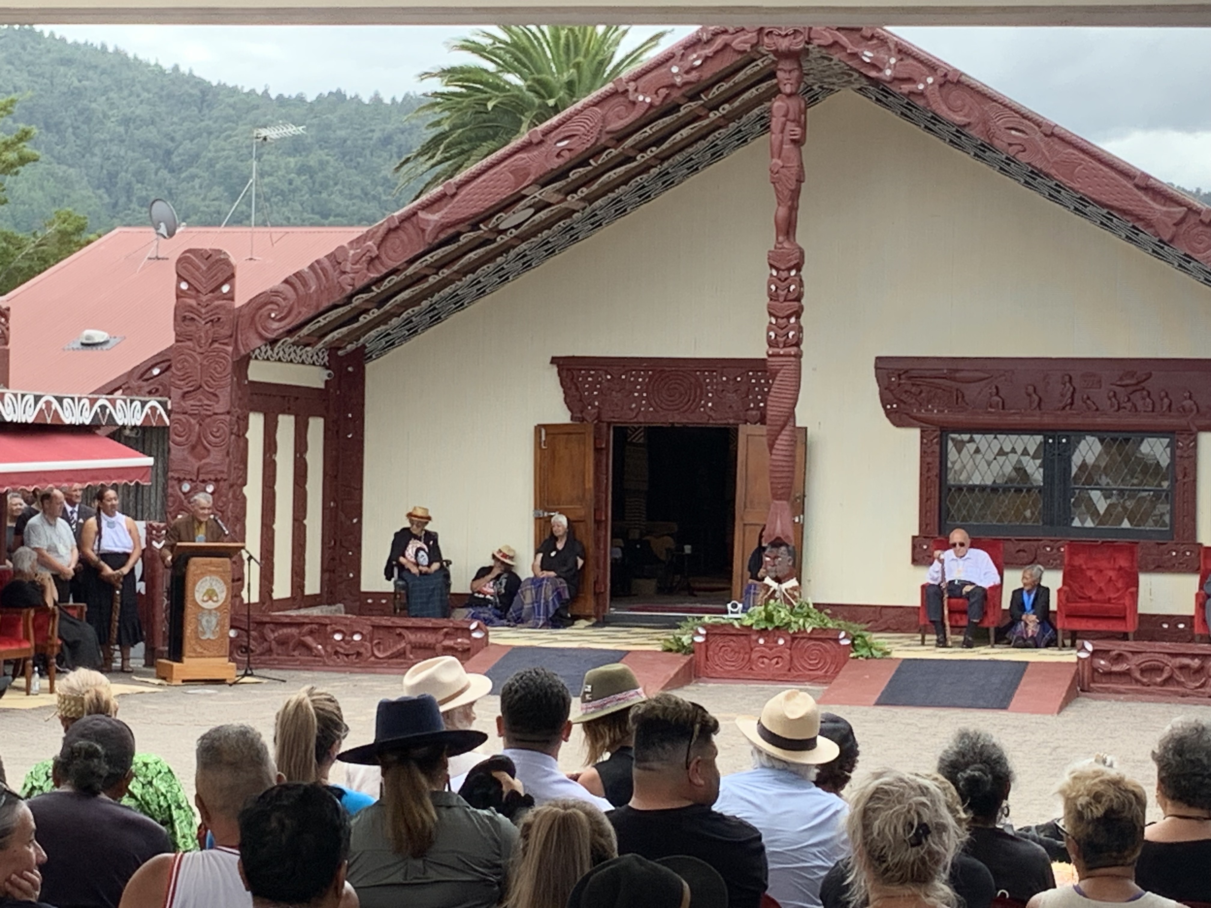 Kiingi Tūheitia addressing the crowd at Tūrangawaewe Marae during a national hui. Photo / Adam Pearse