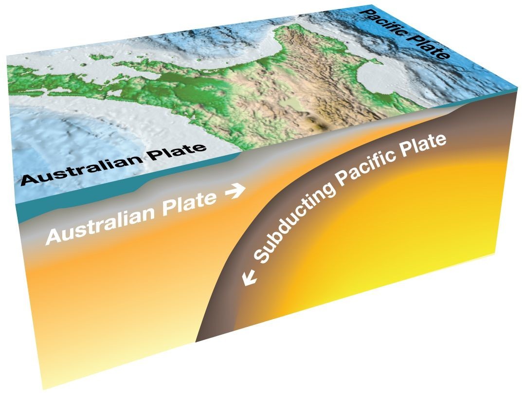 The Hikurangi subduction zone is where the Pacific tectonic plate subducts - or dives underneath - the Australian tectonic plate. Image / GNS Science