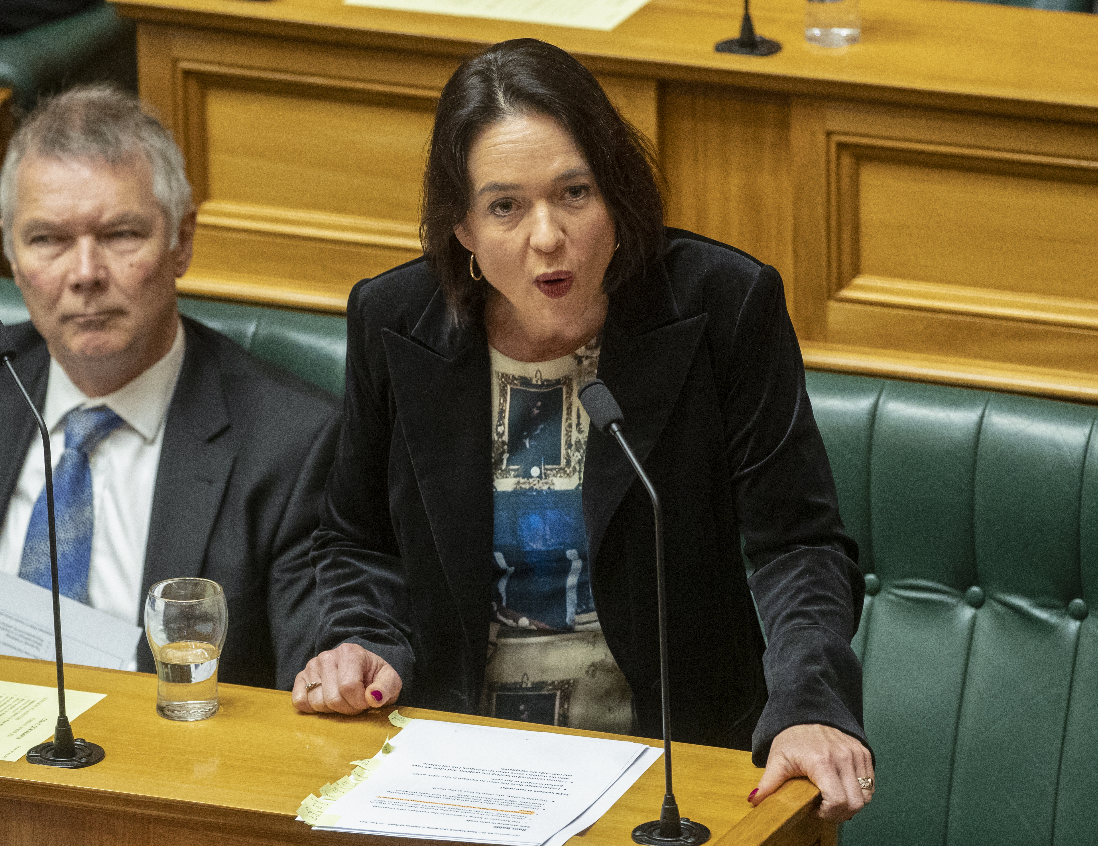 Justice Minister Ginny Andersen. Photo / Mark Mitchell