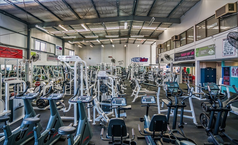 Wolf S Gym Tenancy A Howling Success Nz Herald