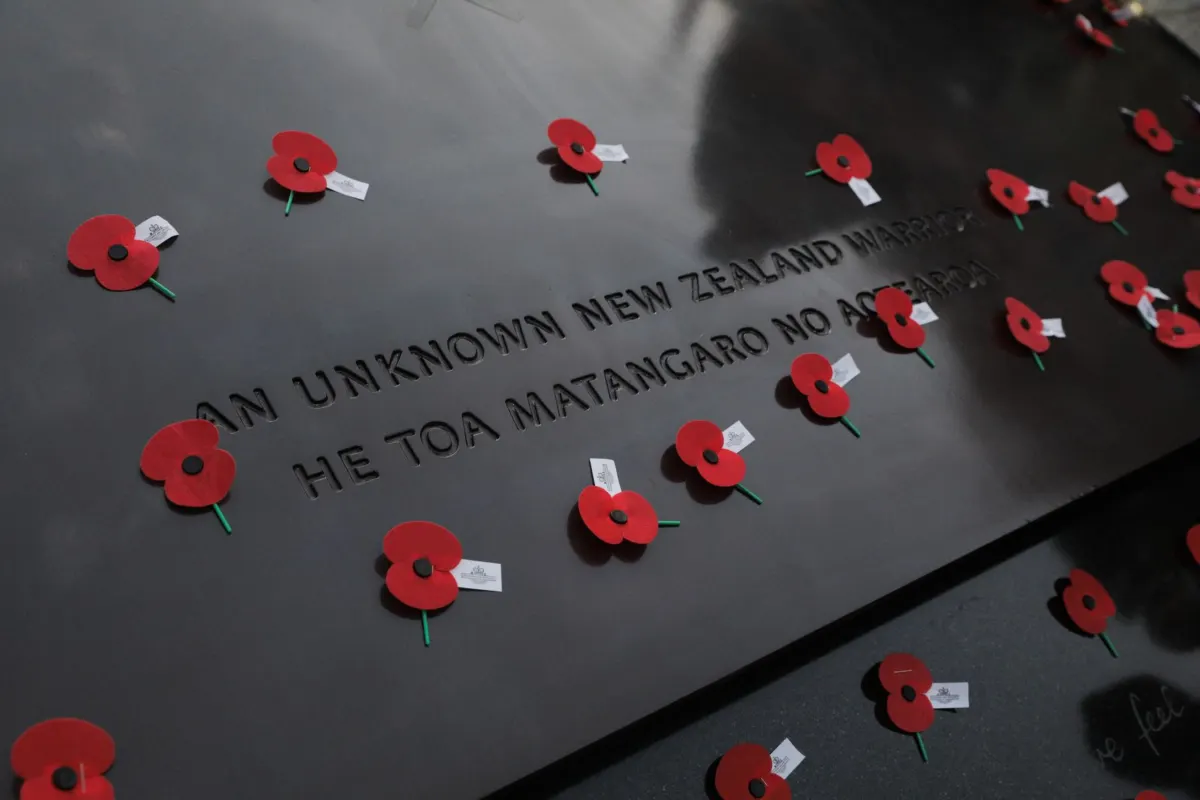 Poppies laid by ceremony attendees following Anzac Day 2023 commemorations in Wellington. Photo / RNZ, Angus Dreaver