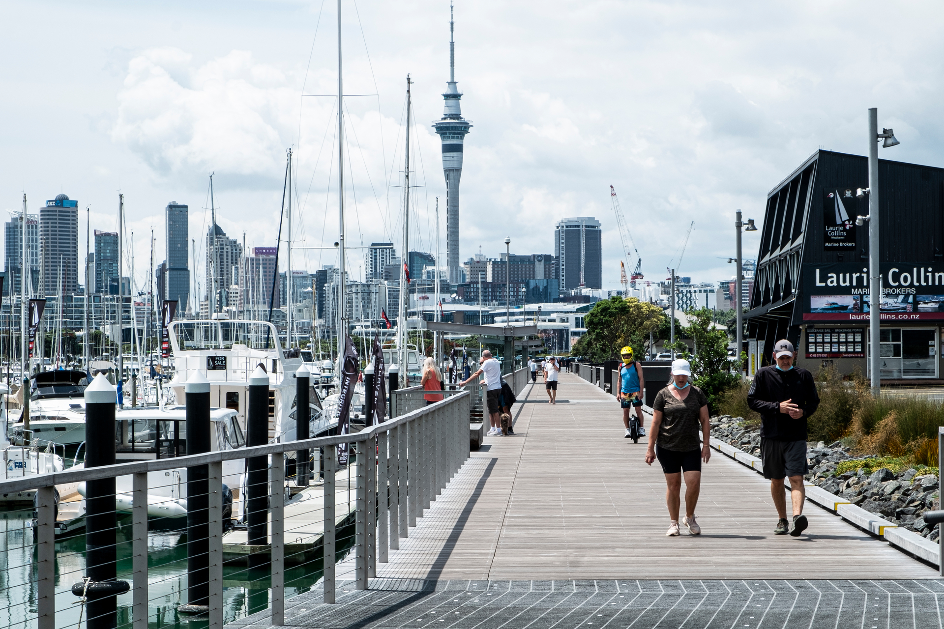 The Westhaven shared path. Photo / Alex Robertson