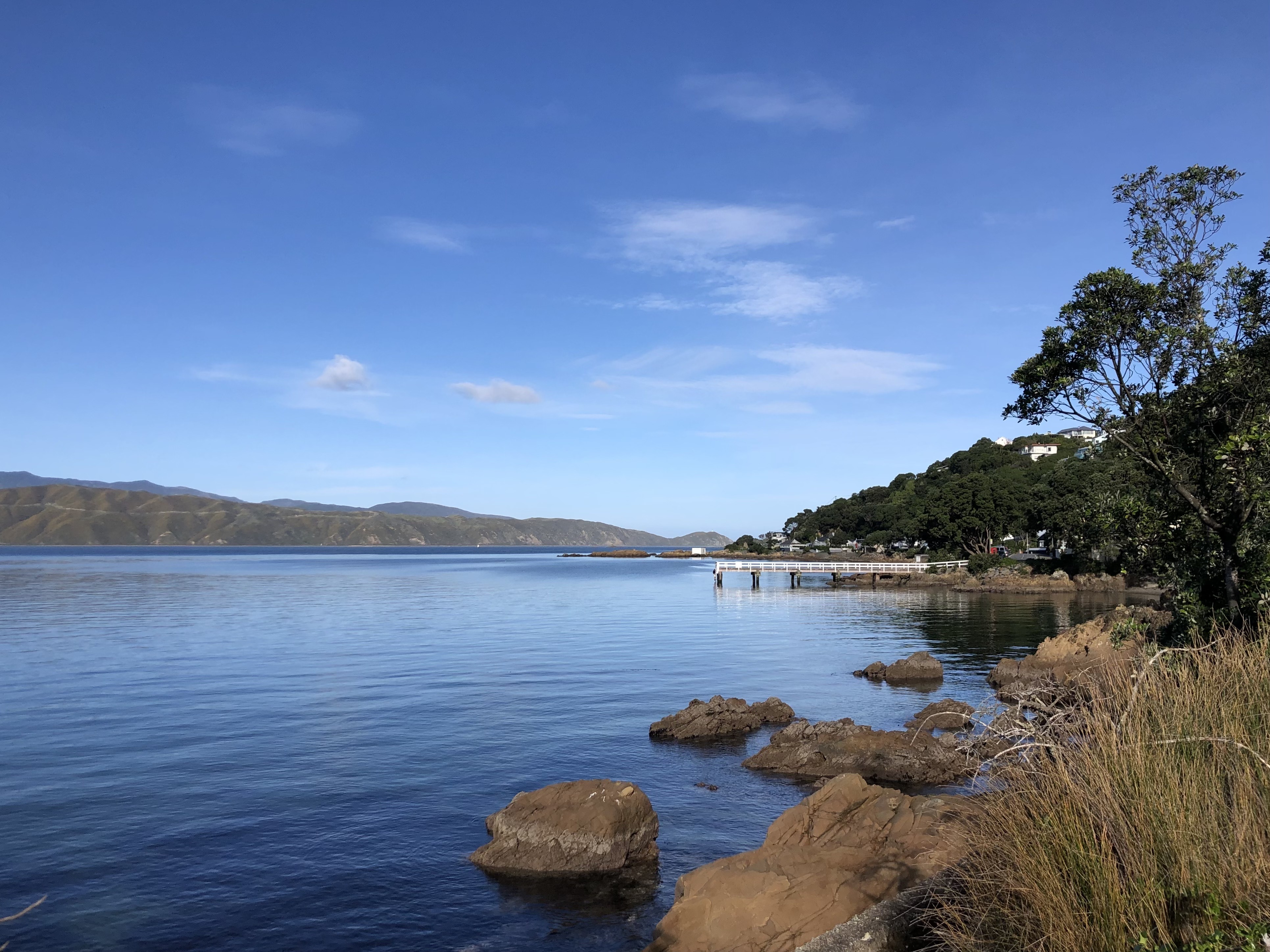 Karaka Bays in Wellington pictured in late June. Photo / Georgina Campbell