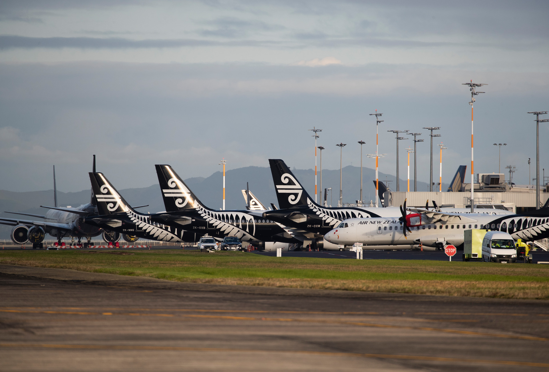 Air NZ dominates domestic main trunk and regional routes. Photo / Brett Phibbs