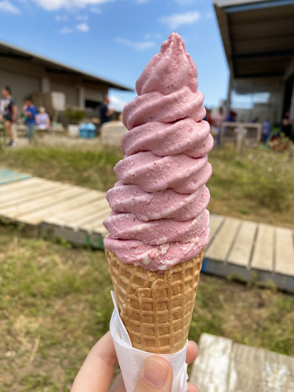 A fresh strawberry ice cream from the Strawberry Farm. Photo / Dan Ahwa