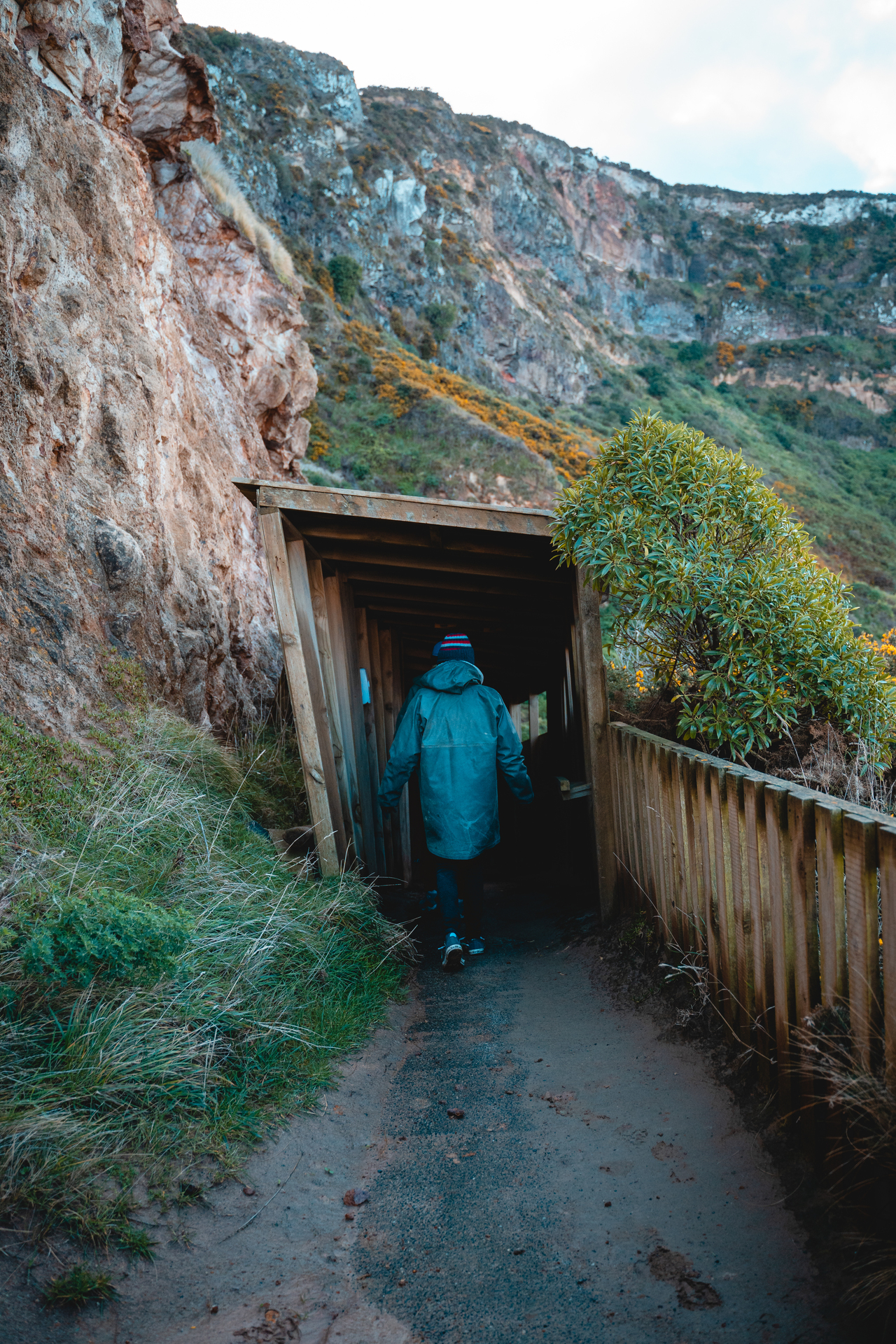 Viewing platforms in Otago Peninsula's albatross colony. Photo / Enterprise Dunedin