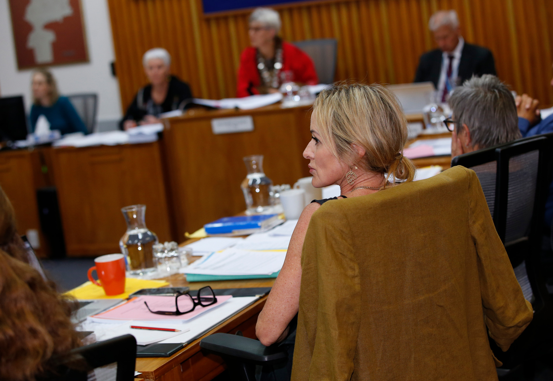 WDC councillor Jayne Golightly voted against the introduction of Māori wards. Photo / Michael Cunningham