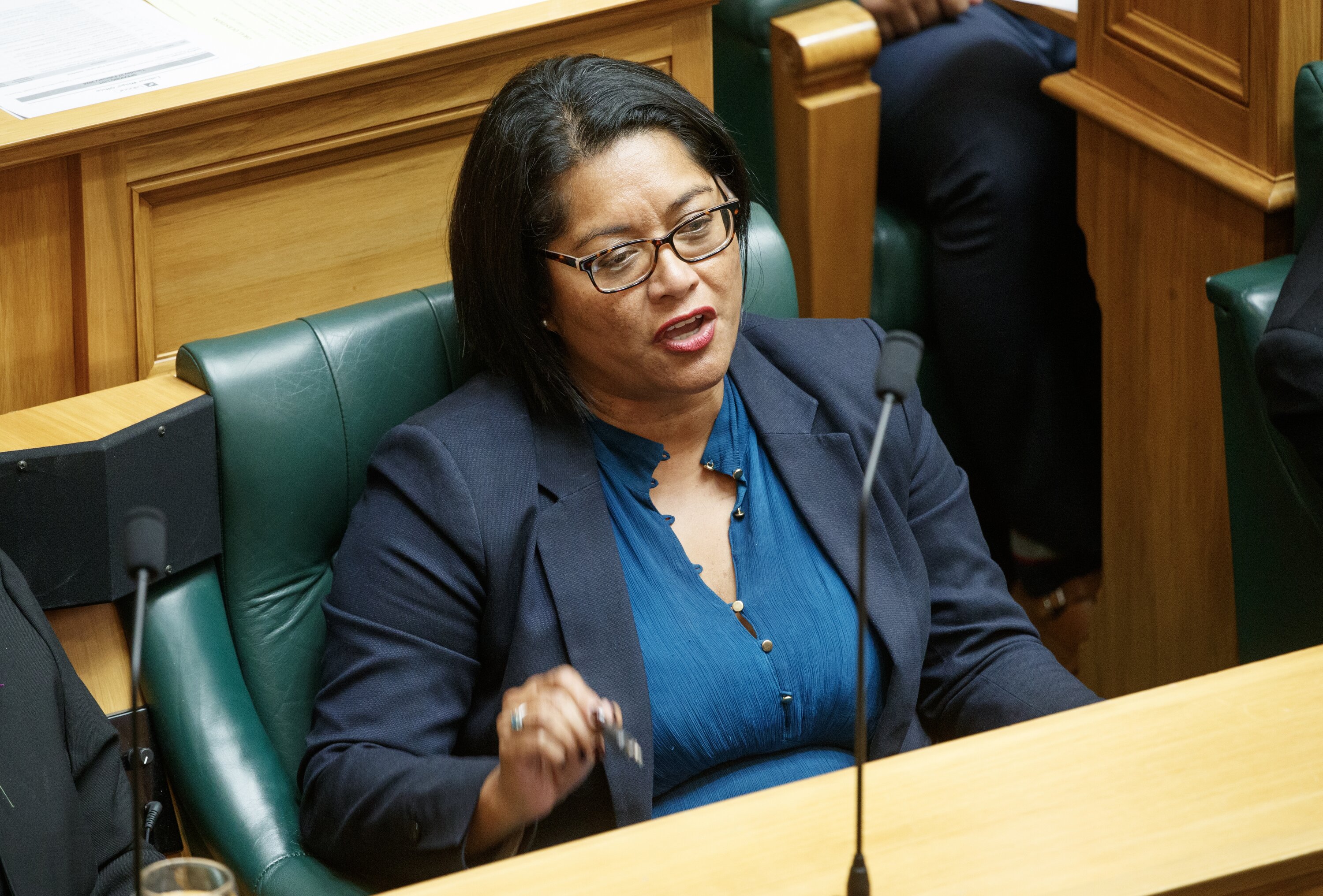 Labour Finance spokeswoman Barbara Edmonds also holds the shadow infrastructure portfolio. Photo / Mark Mitchell