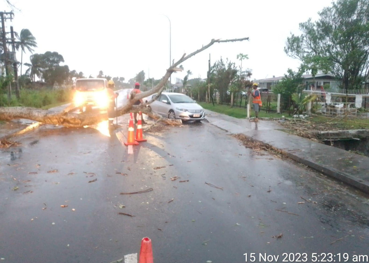 A fallen tree blocks a road in Fiji. Photo / Fiji National Disaster Management Office