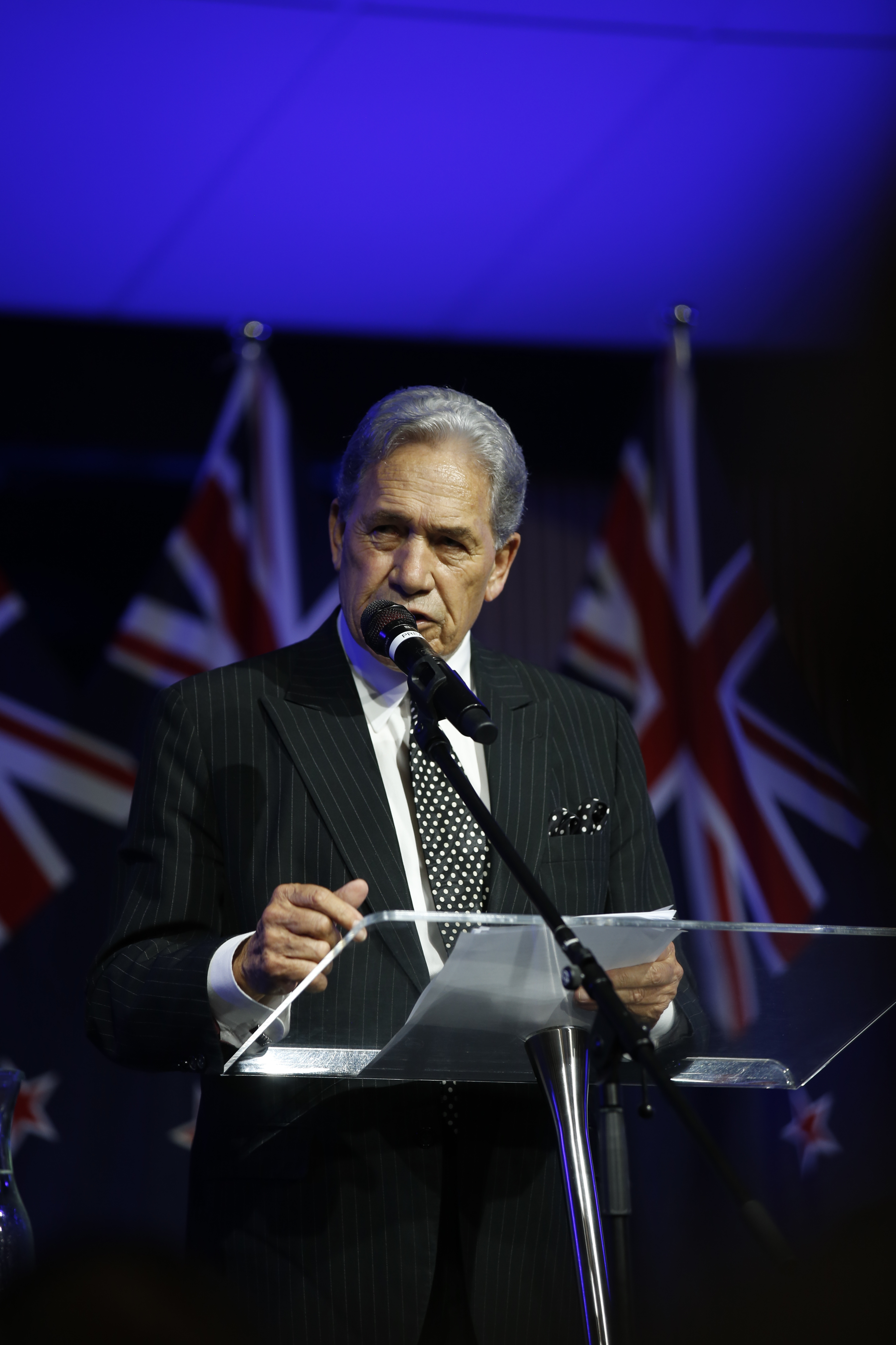 NZ First leader Winston Peters says the BSA needs to be abolished.