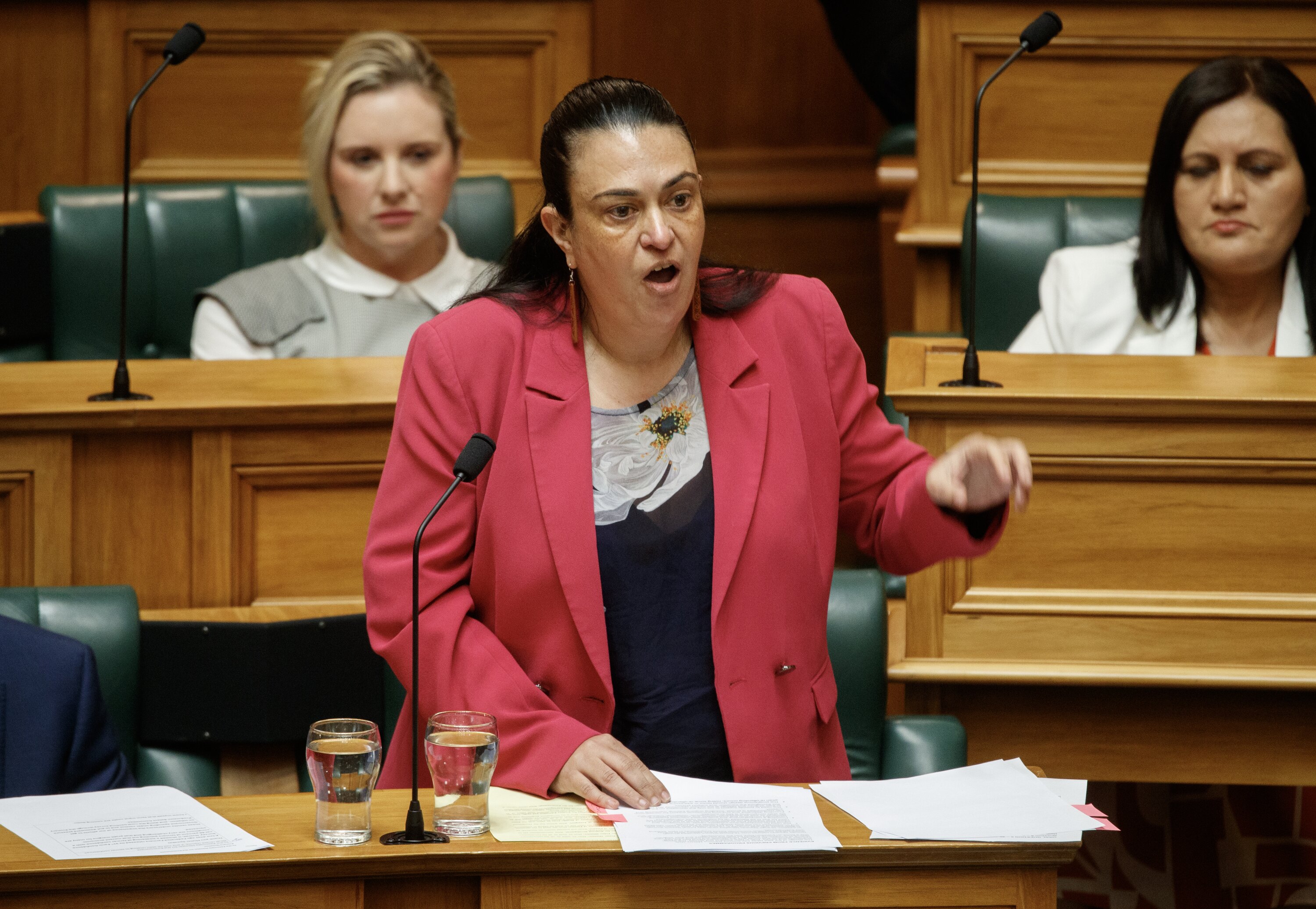 Children's Minister Karen Chhour says there are differences between her academies and those in the past. Photo / Mark Mitchell
