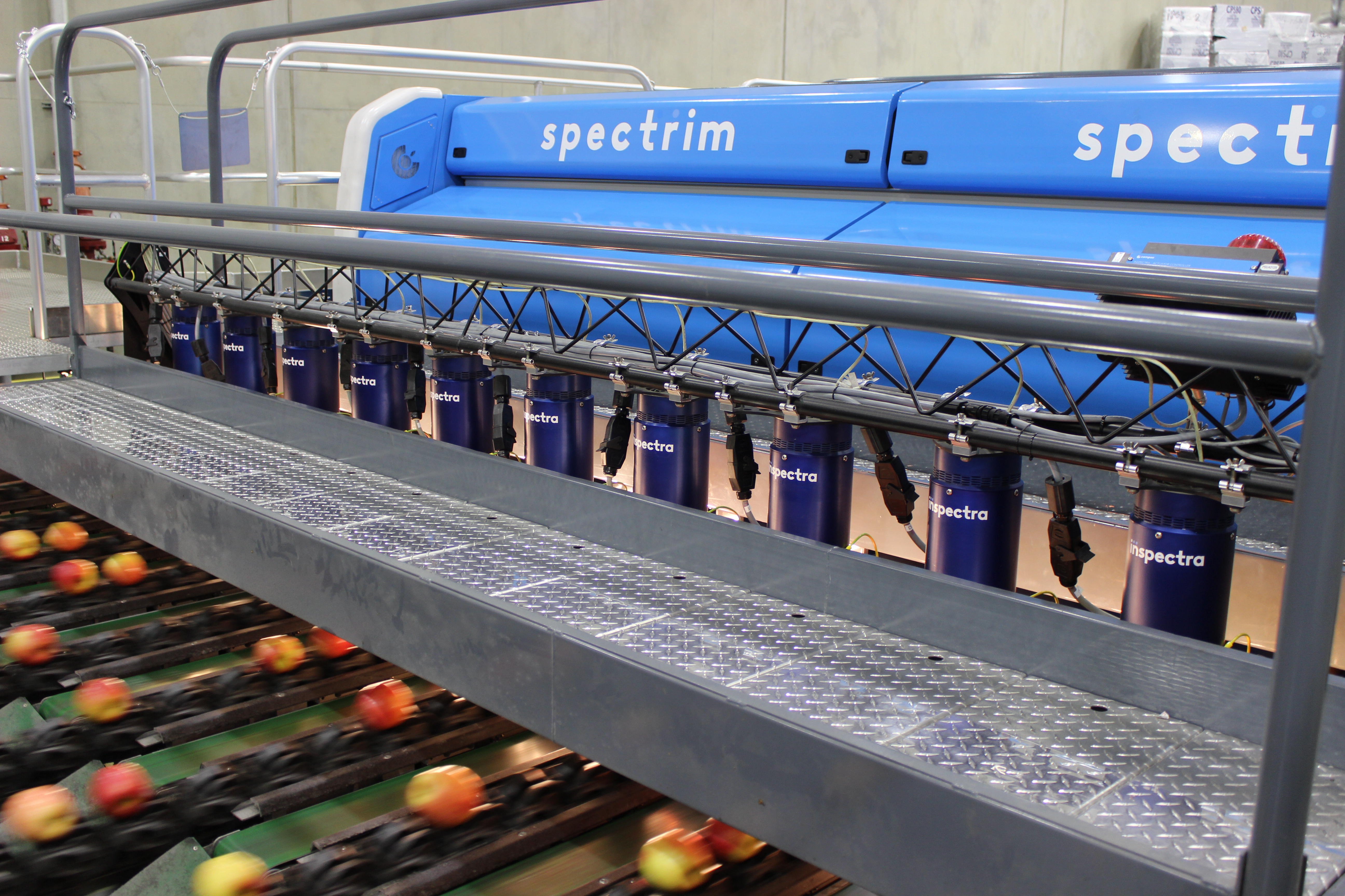 One of Compac's fruit sorting machines in action. Compac owner Tomra is laying off staff amid a global restructure.