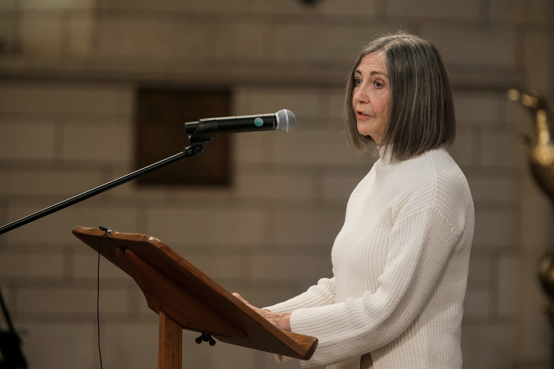 Character Coalition chairwoman Sally Hughes. Photo / Alex Burton