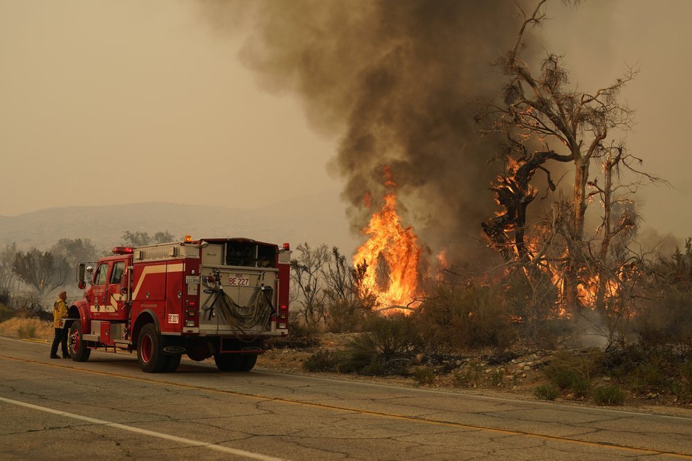 A San Bernardino County Fire Department member keeps an eye on a flareup from the Bobcat Fire. Photo / AP