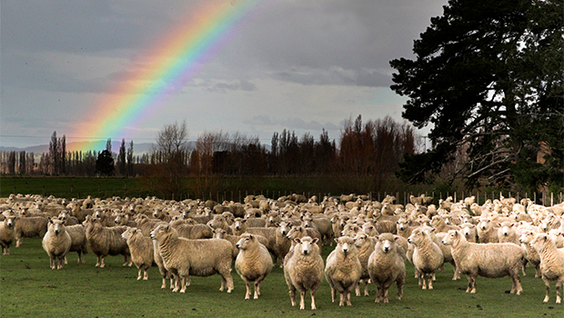 A storm is on the horizon for farmers as they battle a bevy of rising costs. Photo / File