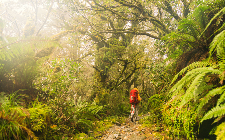 Walking is good exercise, but you need to make it more than a stroll. Photo / Getty Images