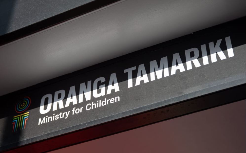 Photo / RNZ / Angus Dreaver