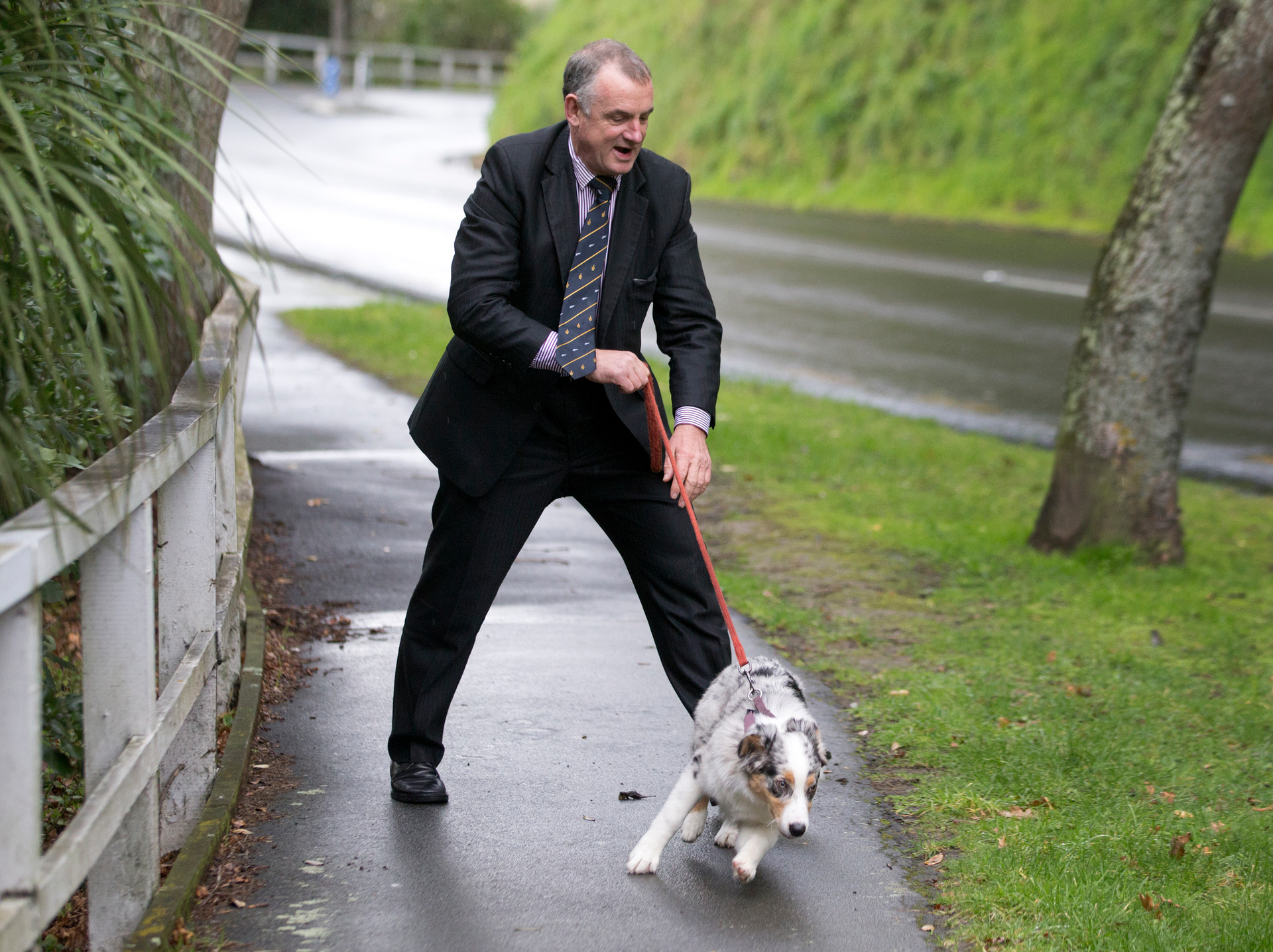 Mallard with his Australian shepherd dog Violet, during the Labour Party's animal welfare initiative announcement in Wellington, 2014. Photo / Mark Mitchell