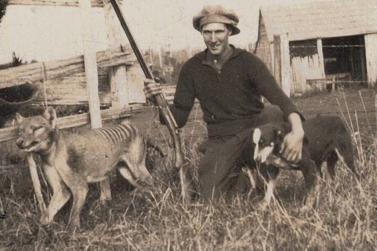 Juraussie Park: Scientists vow to bring Tasmanian tiger back from