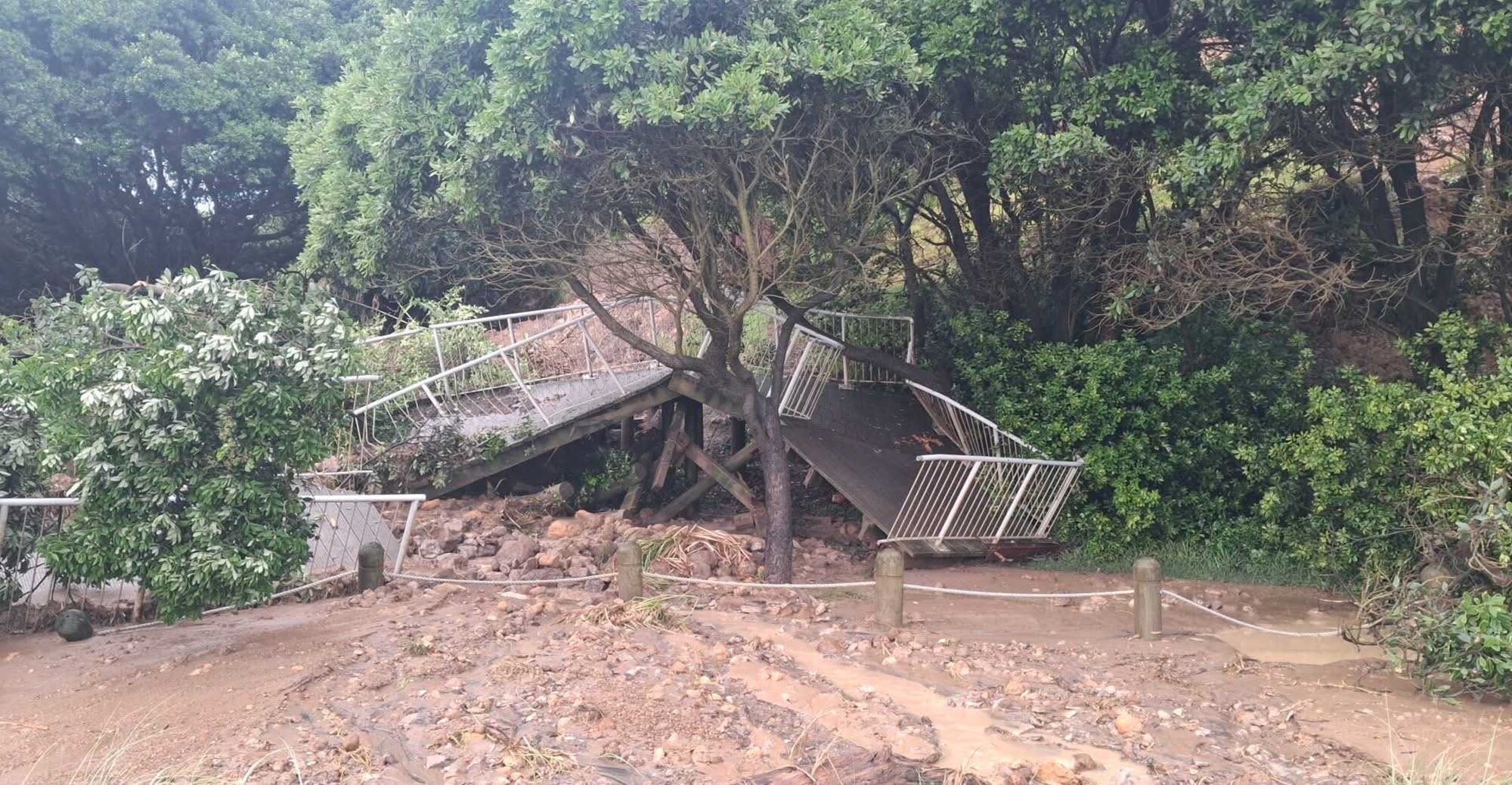 Slips have caused significant damage on Mauao. Photo /  Alister McHardy